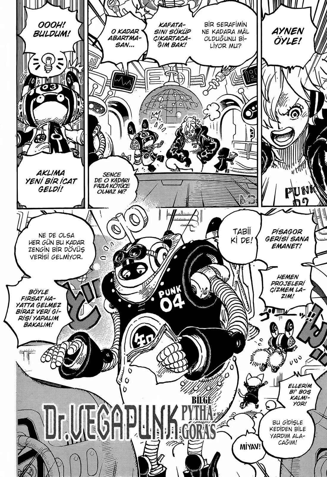 One Piece - Sayfa 13