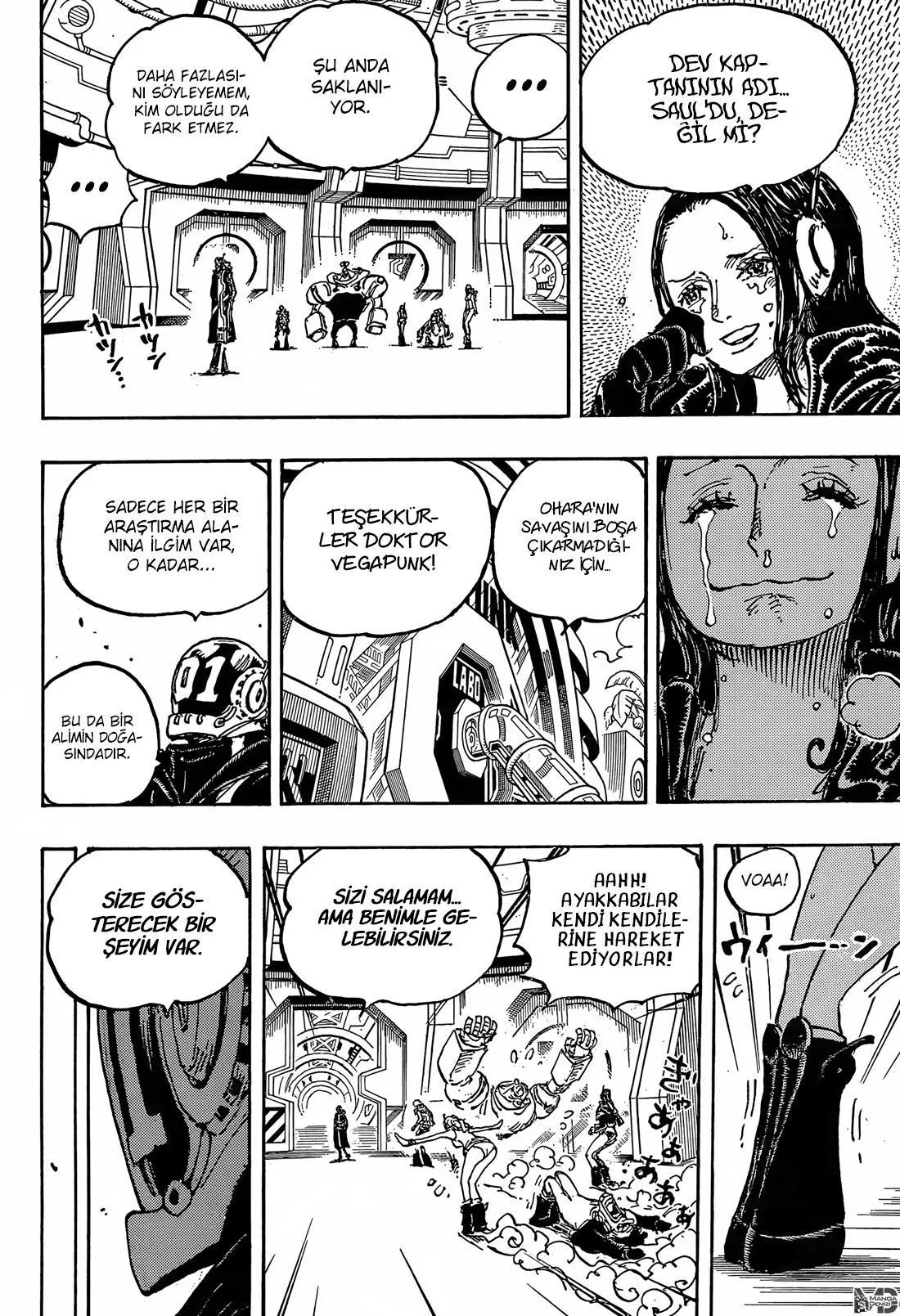 One Piece - Sayfa 14