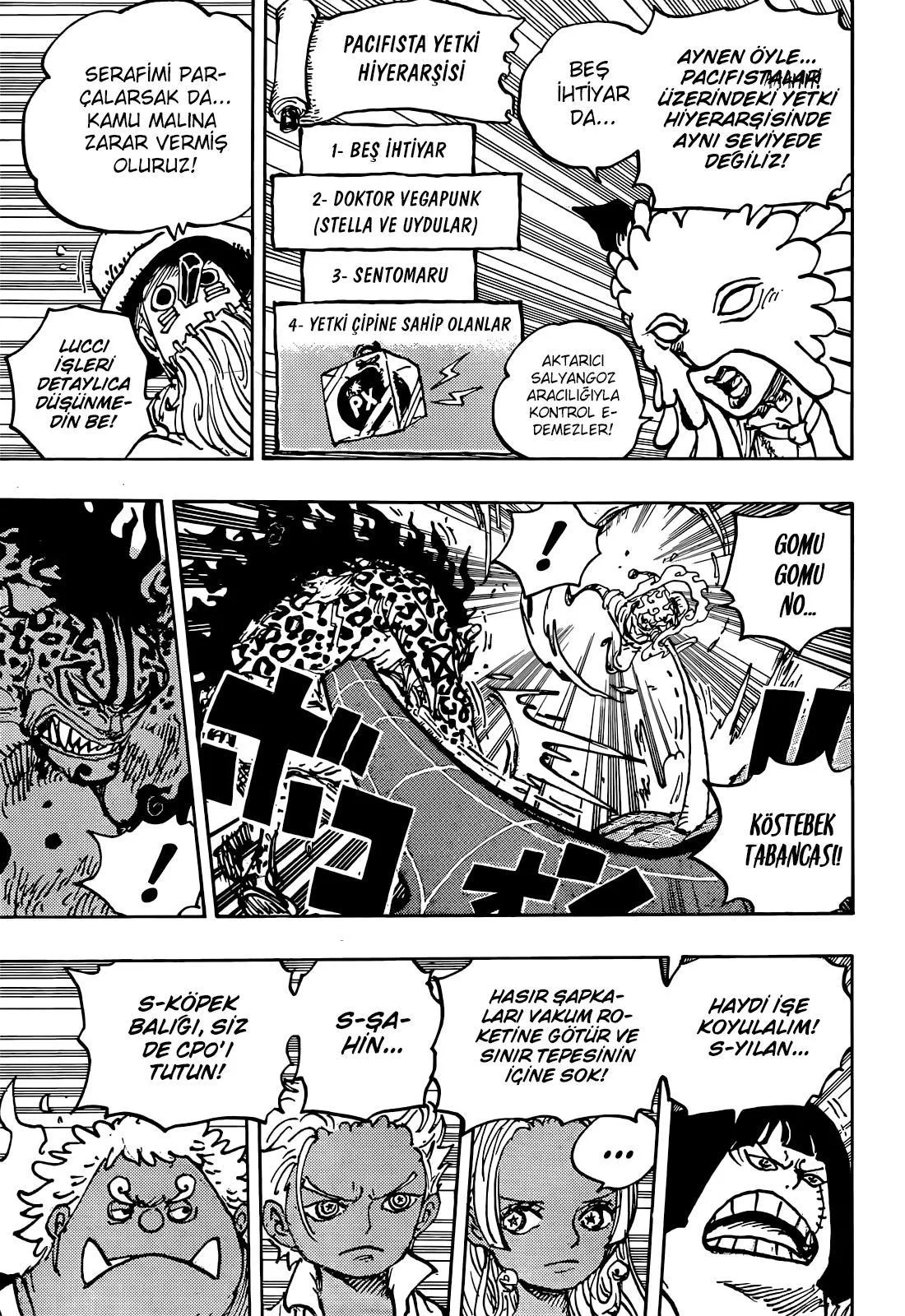 One Piece - Sayfa 13