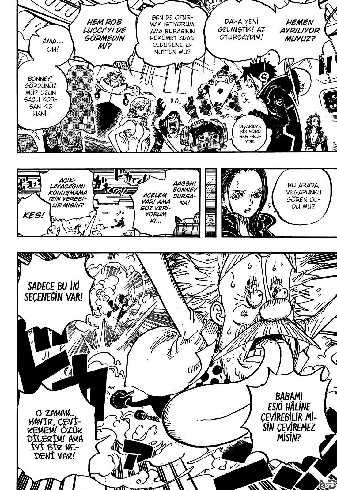 One Piece - Sayfa 13