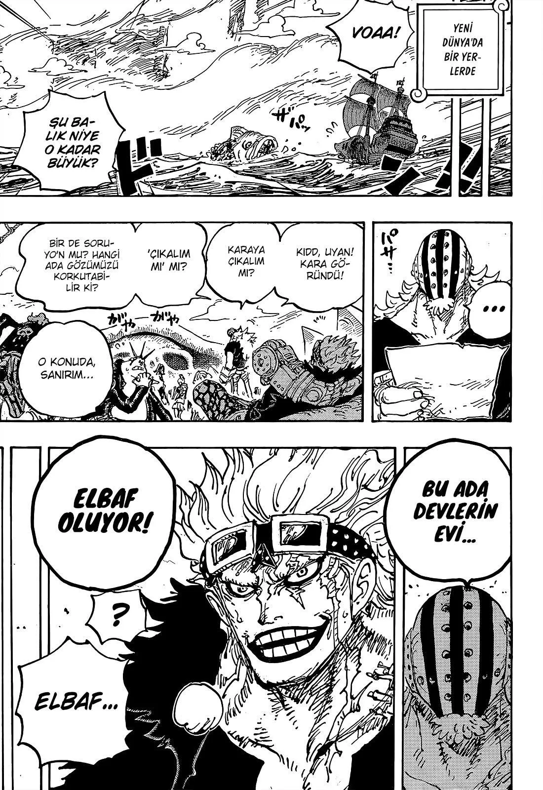 One Piece - Sayfa 14