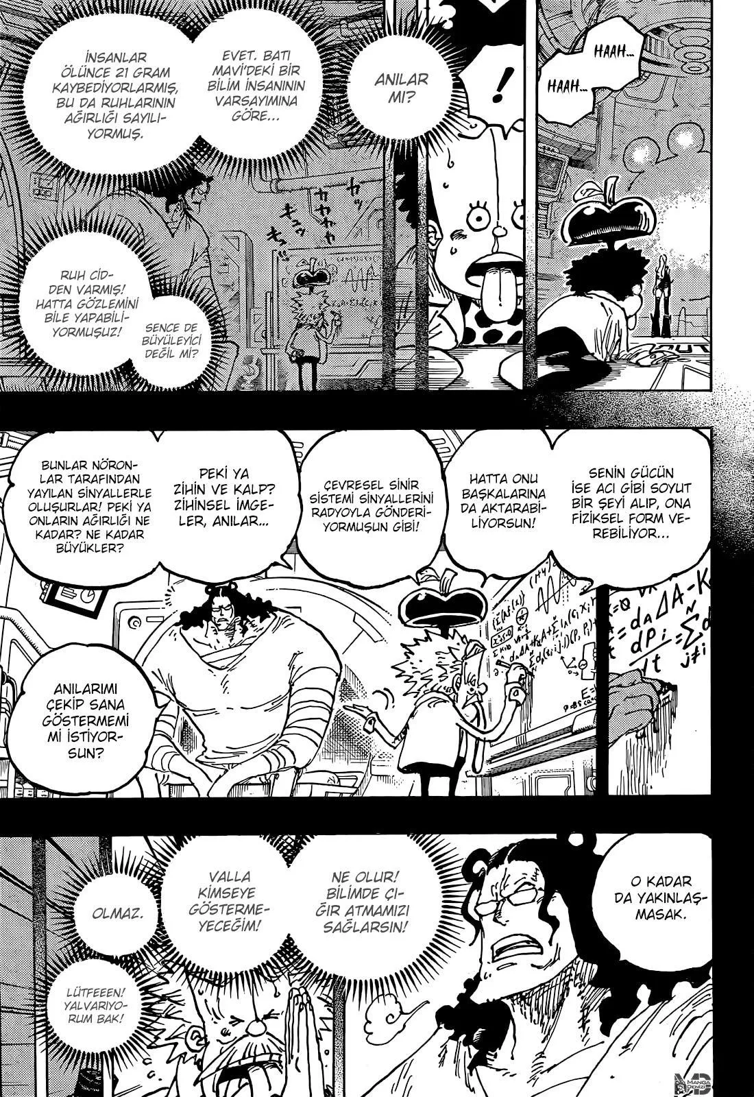 One Piece - Sayfa 10