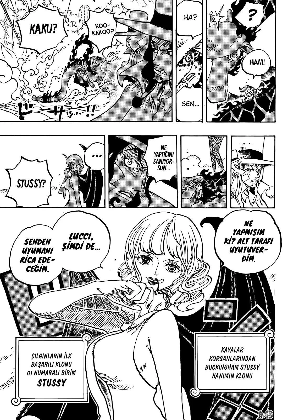 One Piece - Sayfa 17