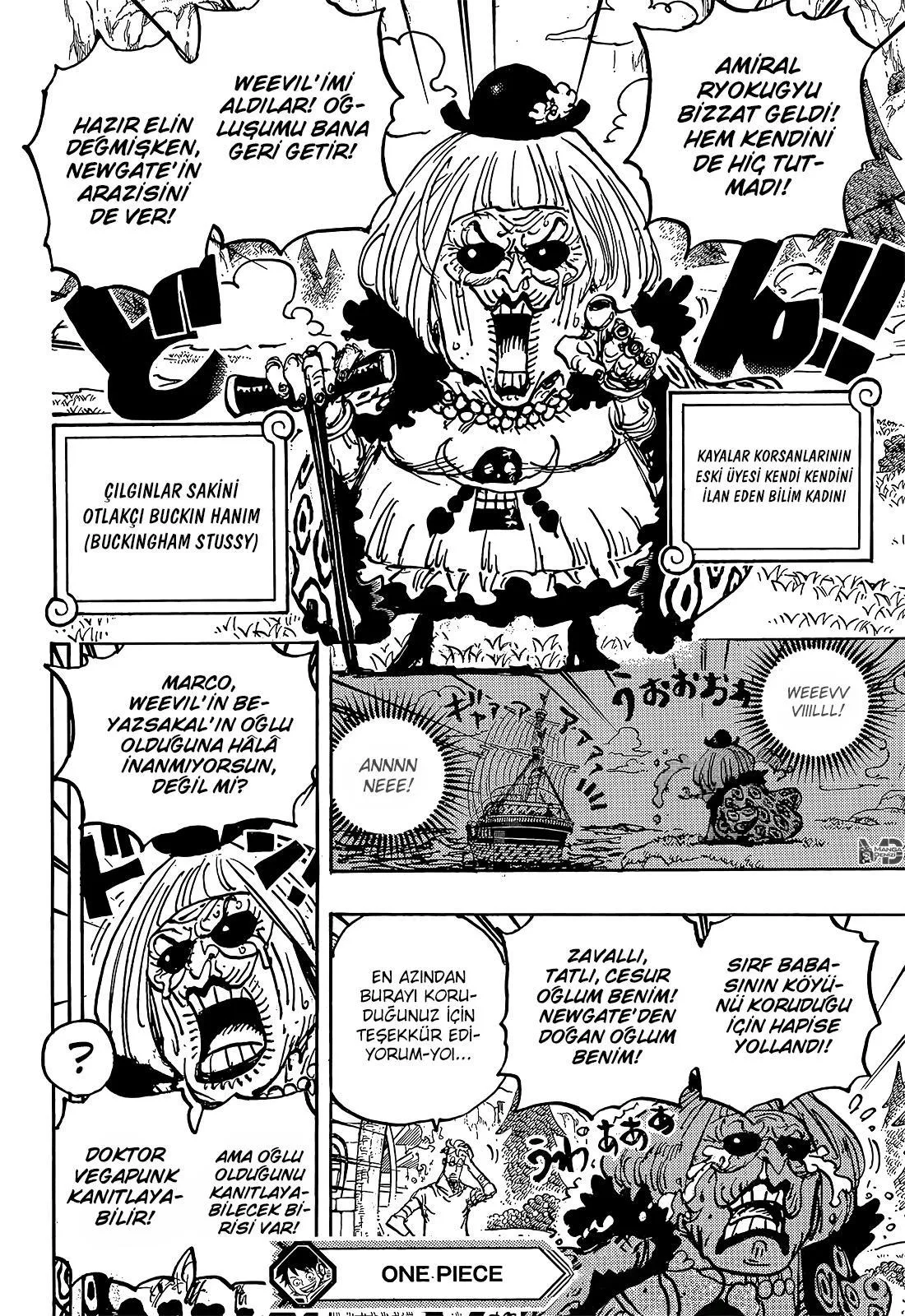 One Piece - Sayfa 15