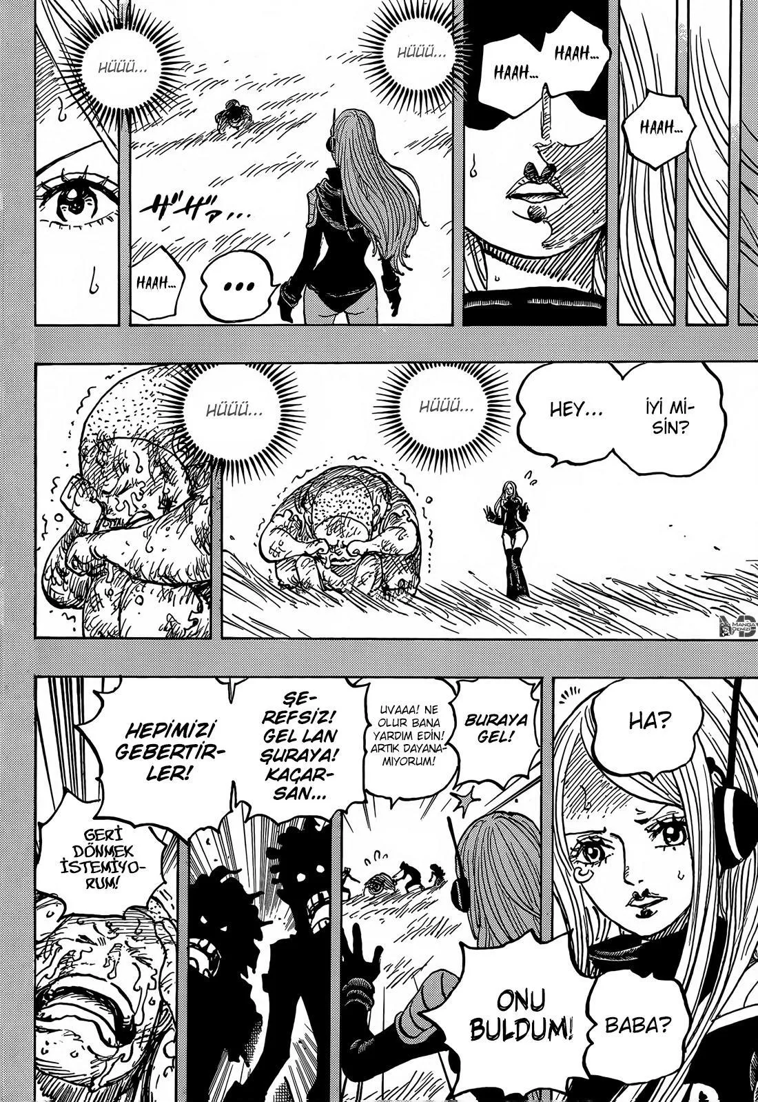 One Piece - Sayfa 12