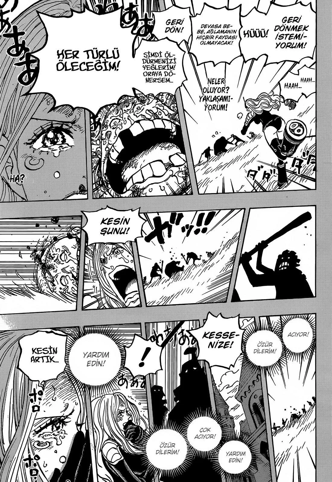 One Piece - Sayfa 13
