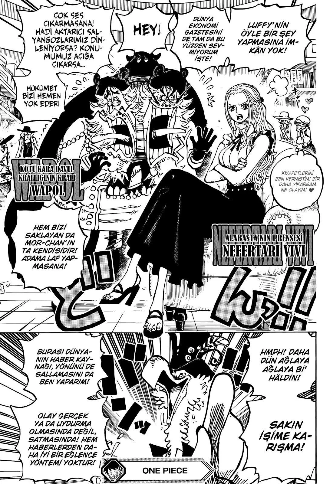 One Piece - Sayfa 17