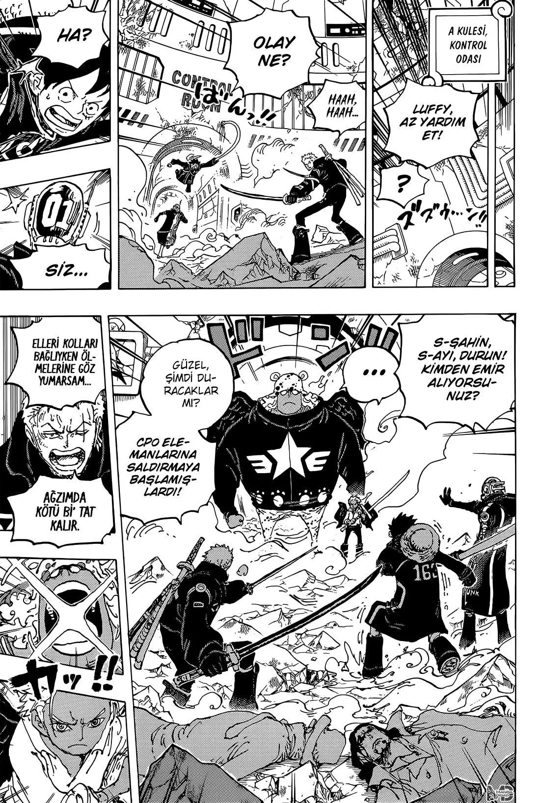 One Piece - Sayfa 14