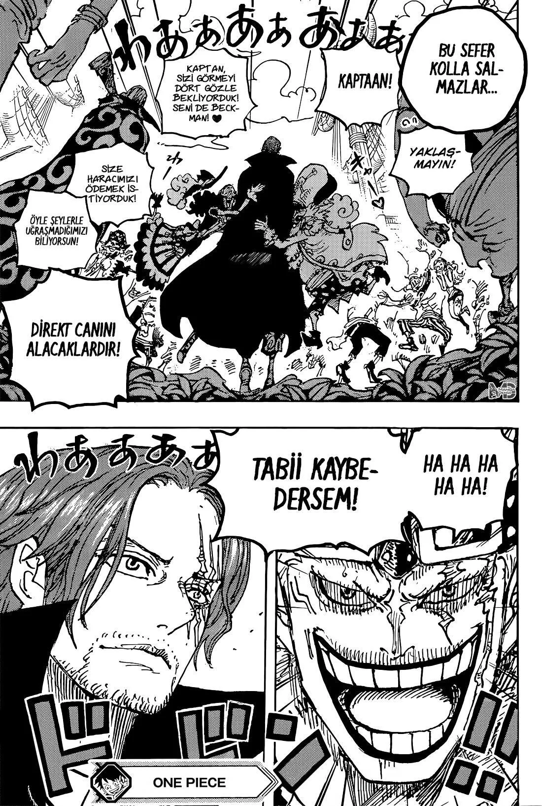 One Piece - Sayfa 15