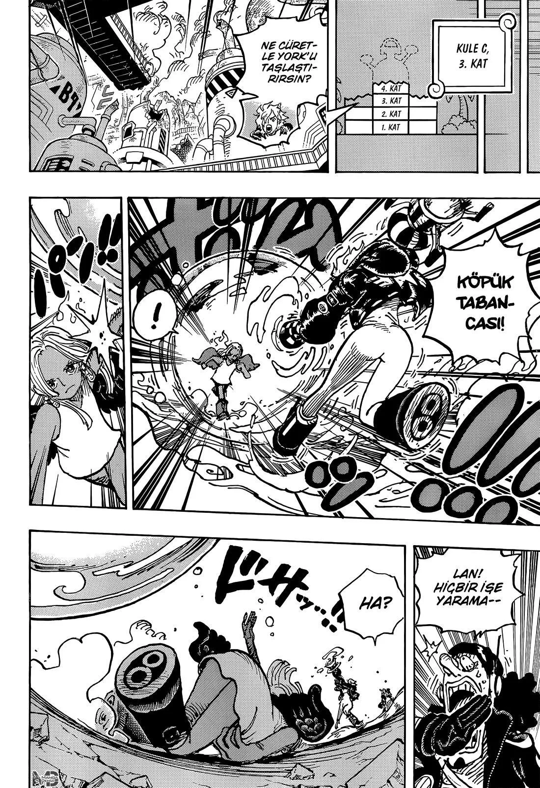 One Piece - Sayfa 13