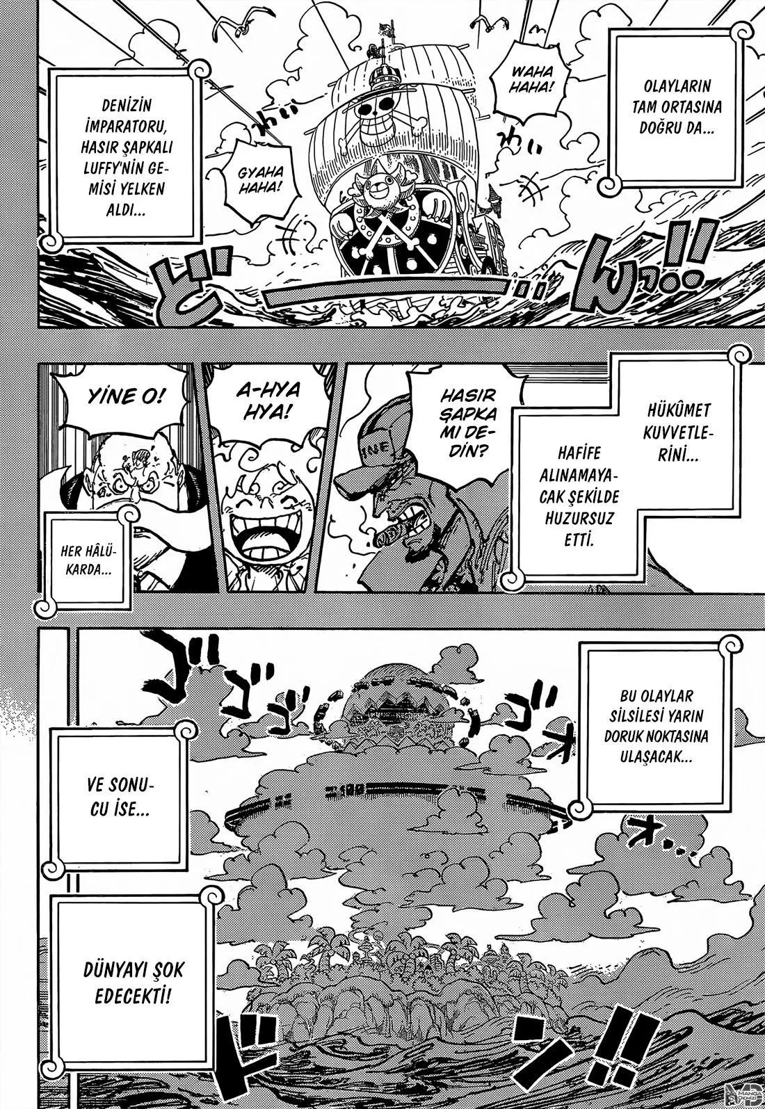 One Piece - Sayfa 13