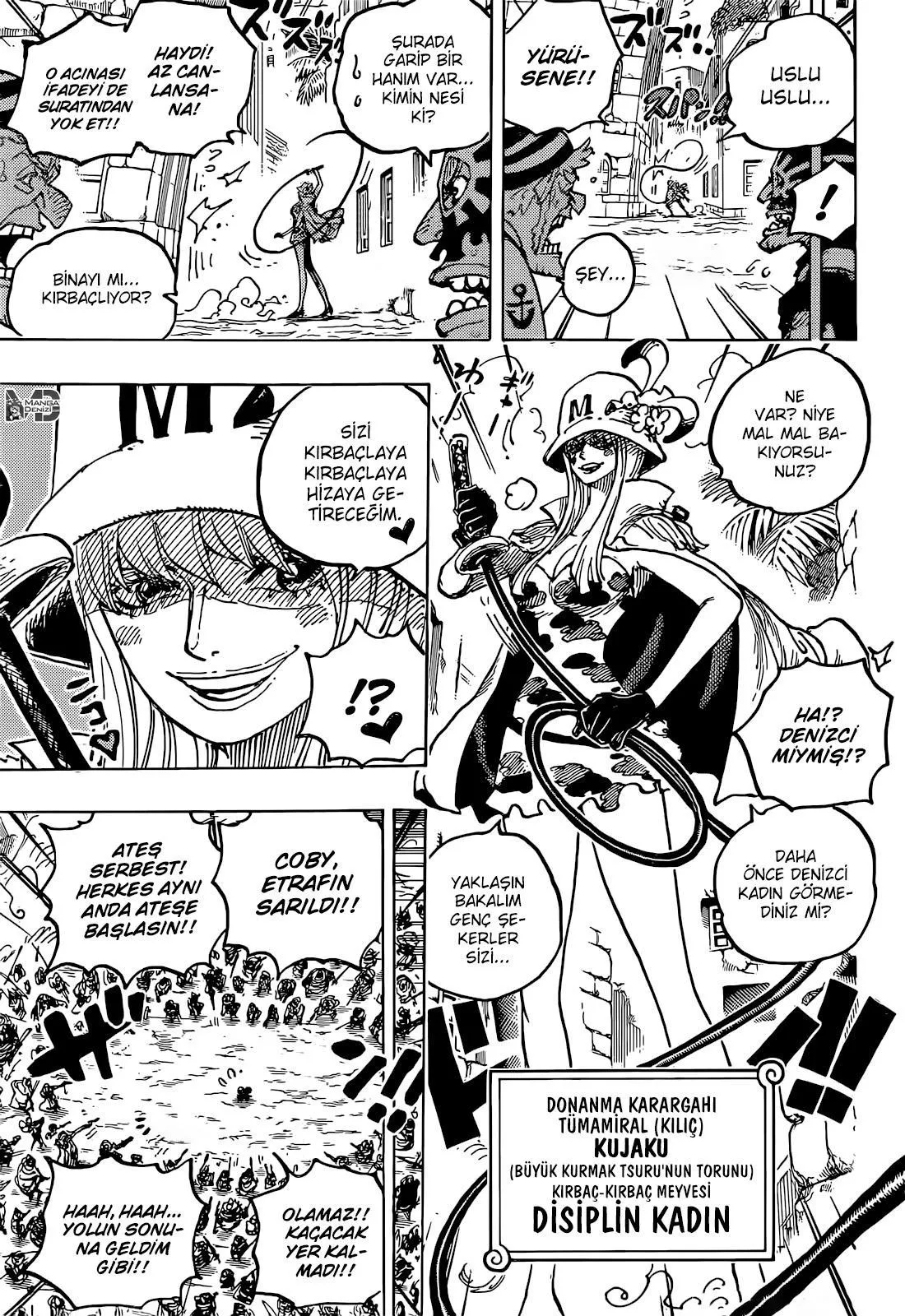 One Piece - Sayfa 12