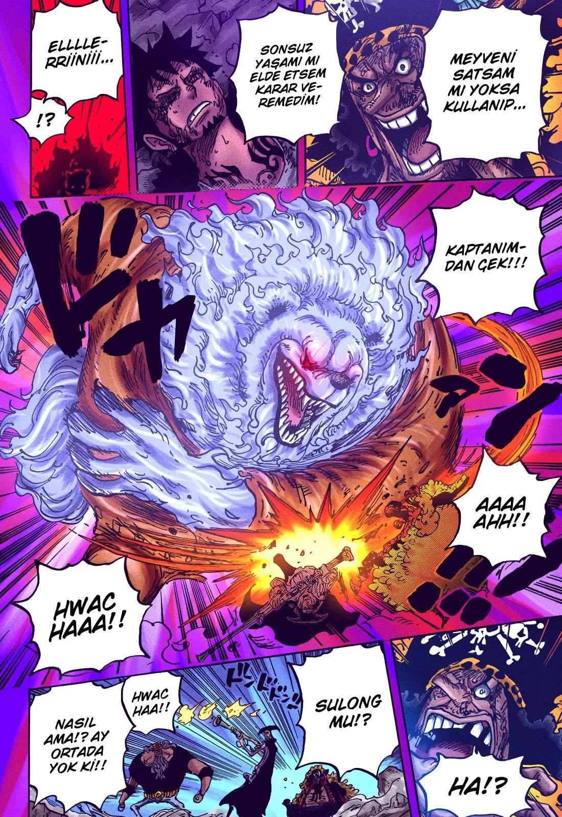 One Piece - Sayfa 14