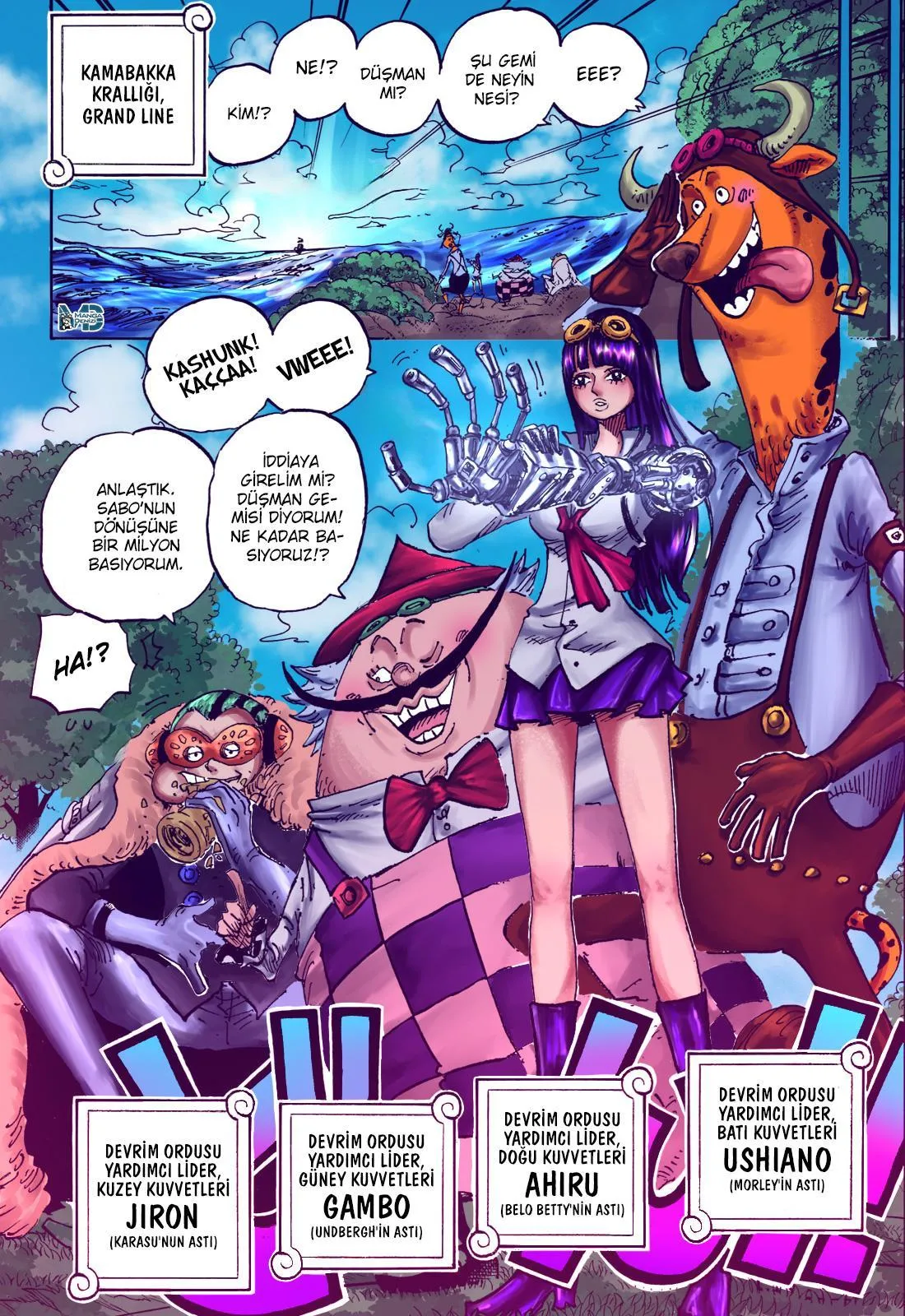 One Piece - Sayfa 12