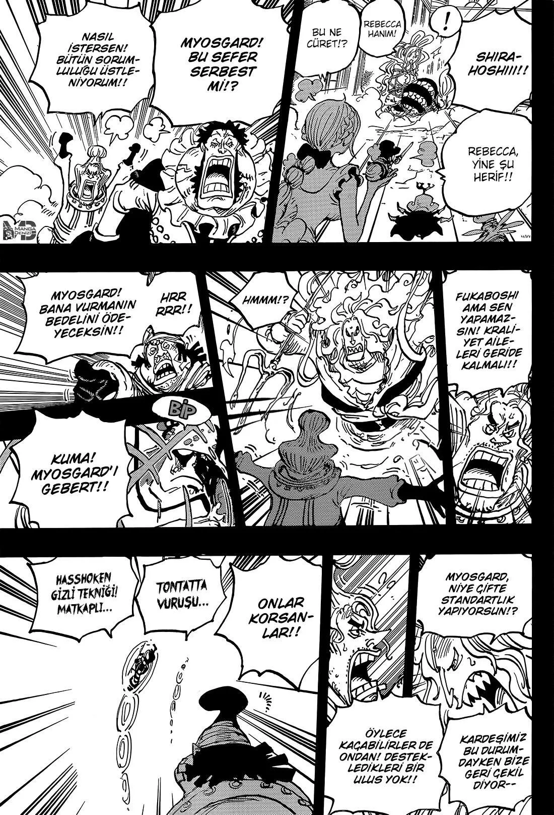 One Piece - Sayfa 12