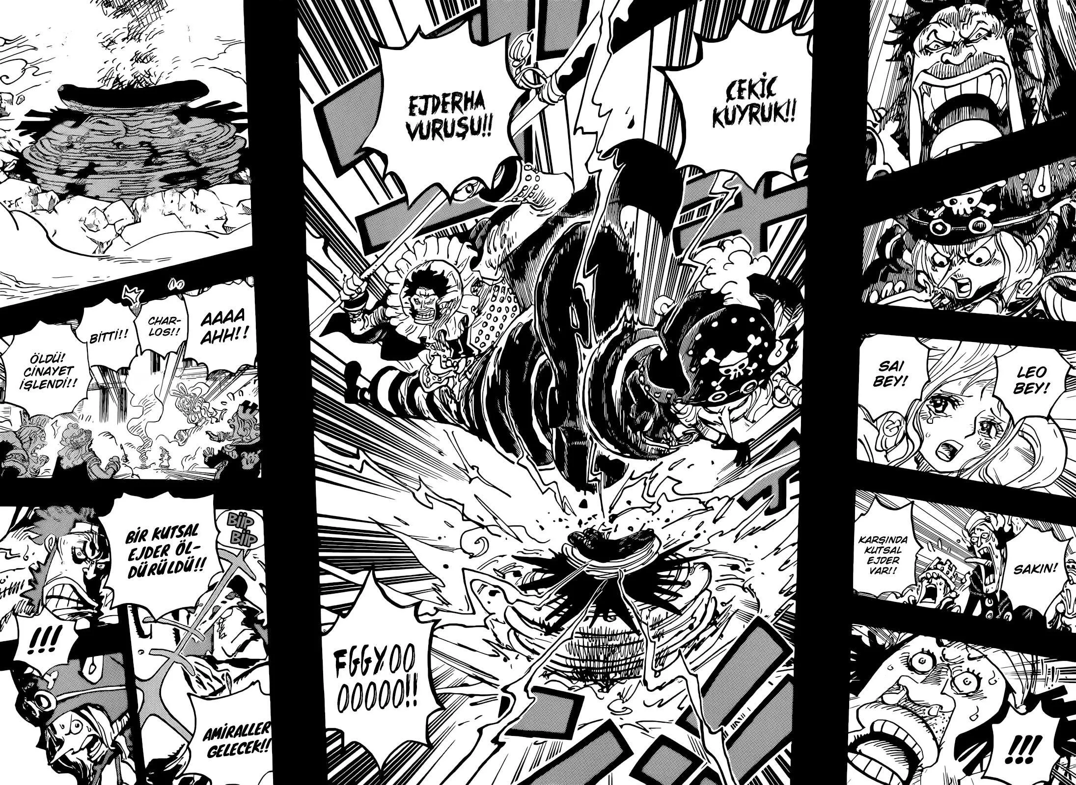 One Piece - Sayfa 13