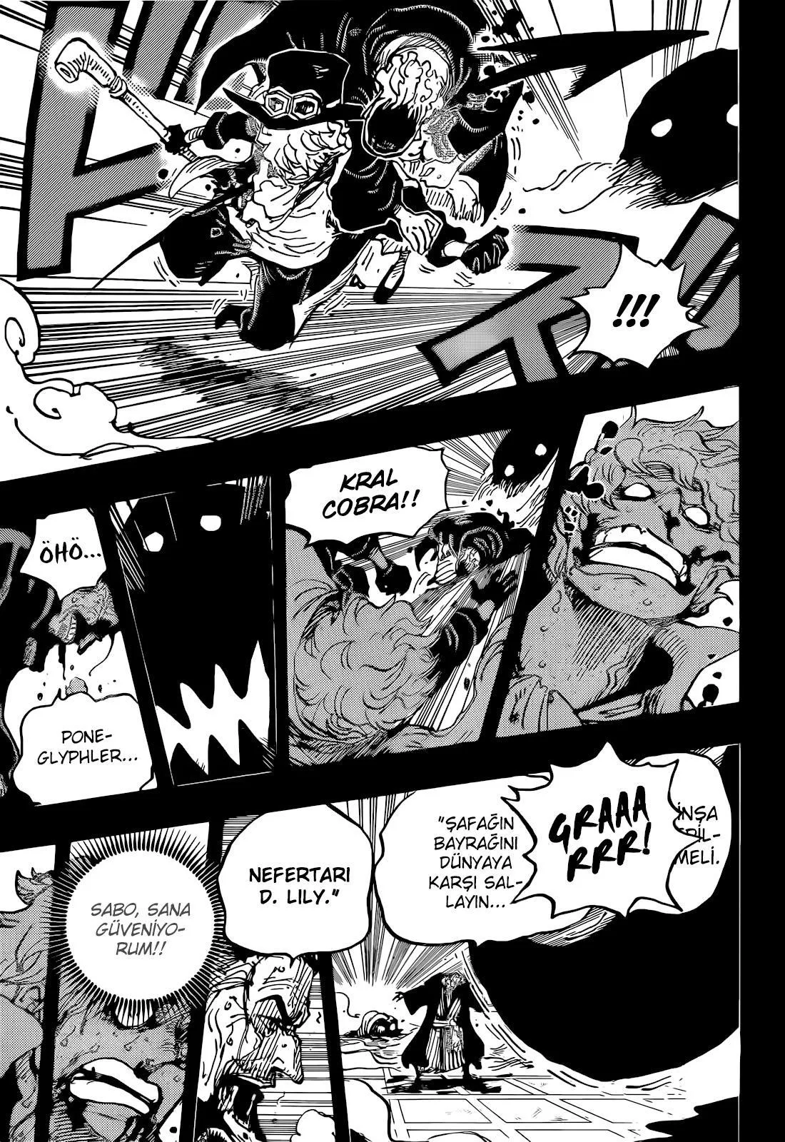 One Piece - Sayfa 10