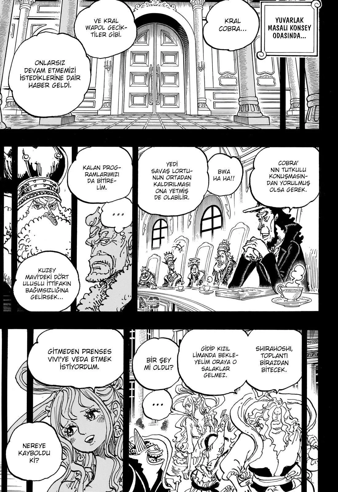 One Piece - Sayfa 12