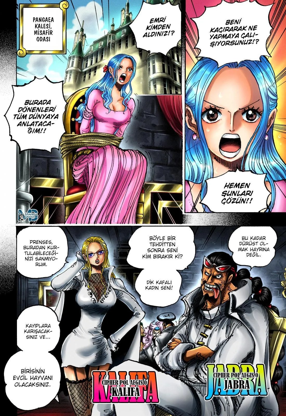 One Piece - Sayfa 13