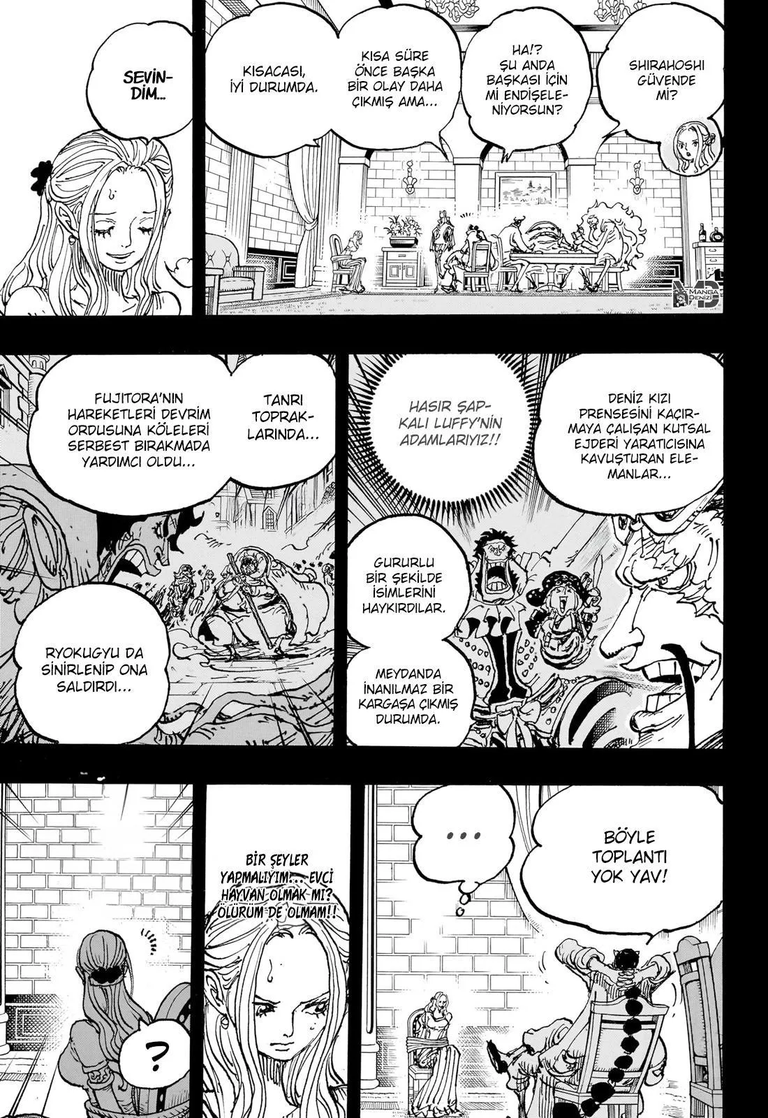 One Piece - Sayfa 14