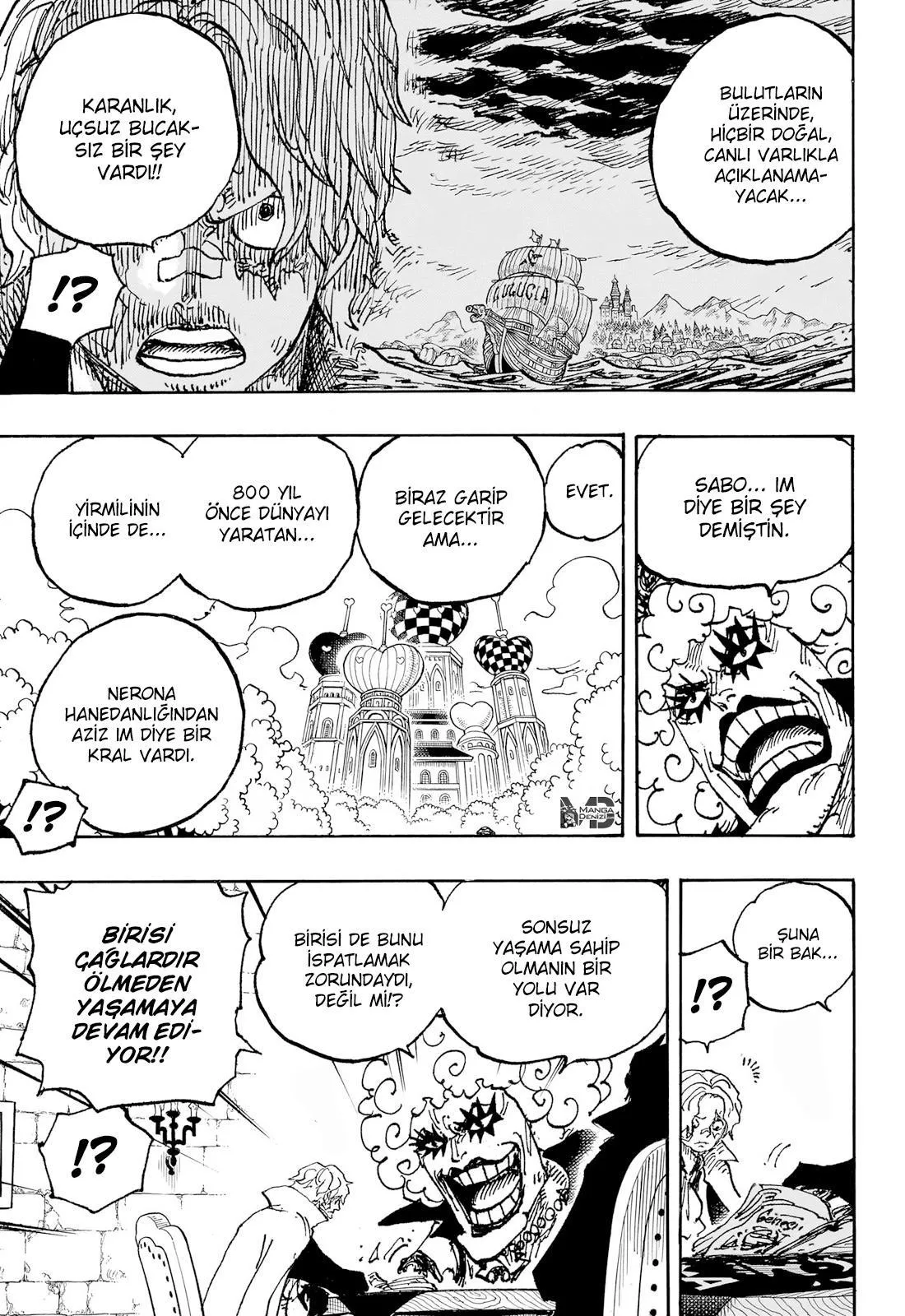 One Piece - Sayfa 12