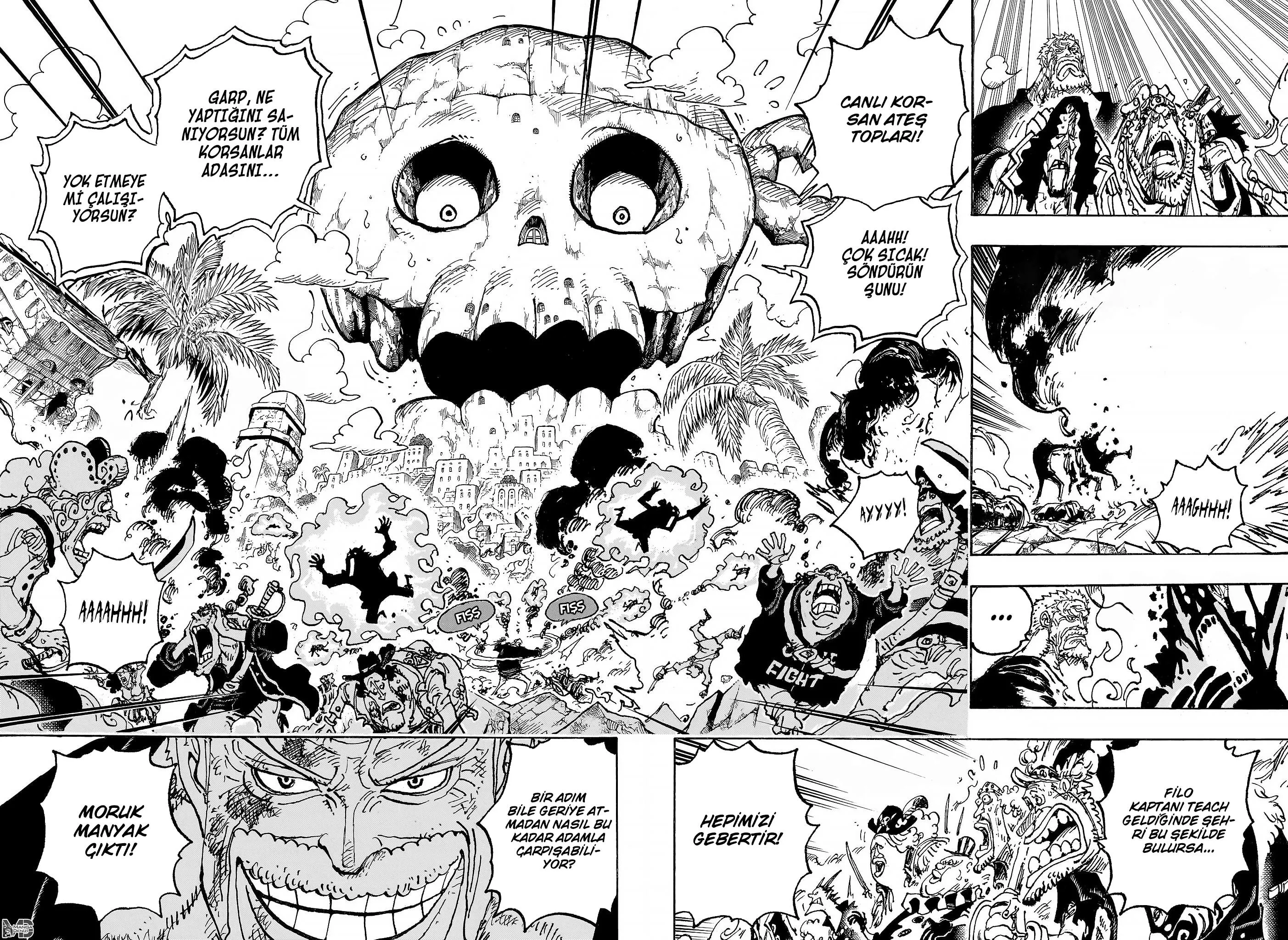 One Piece - Sayfa 5