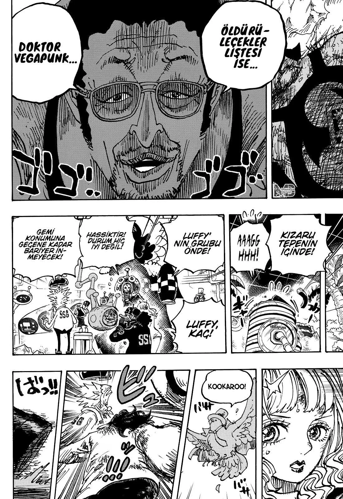 One Piece - Sayfa 14