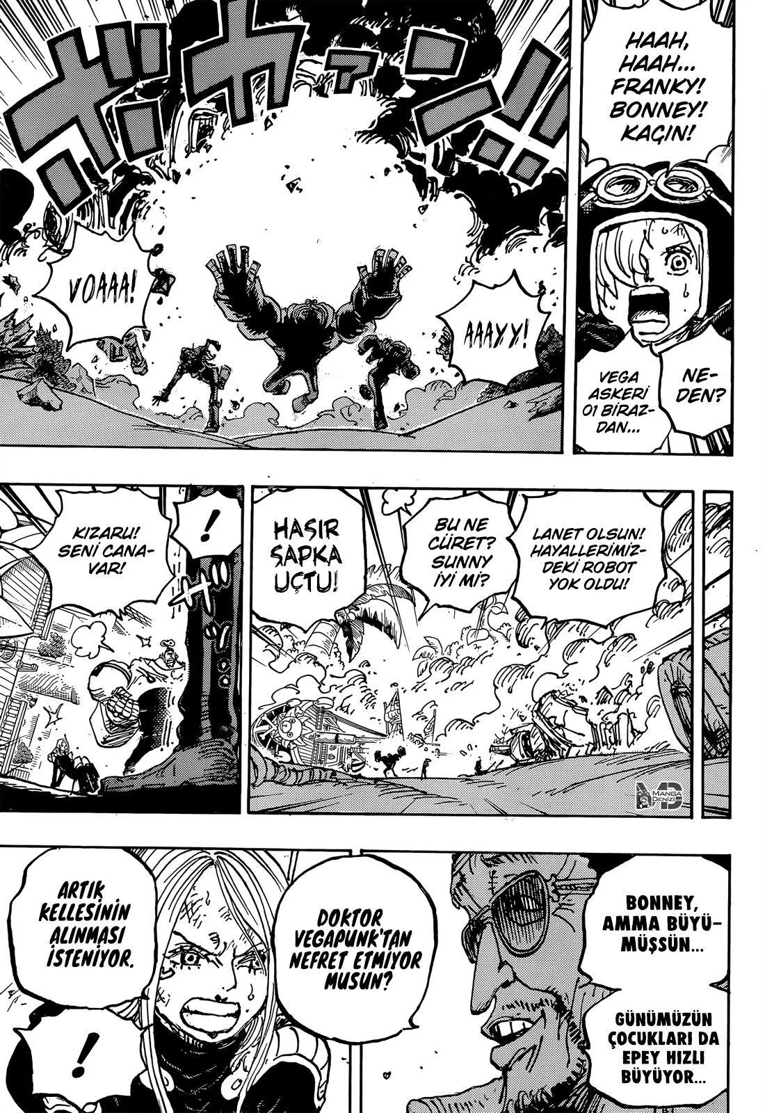 One Piece - Sayfa 14