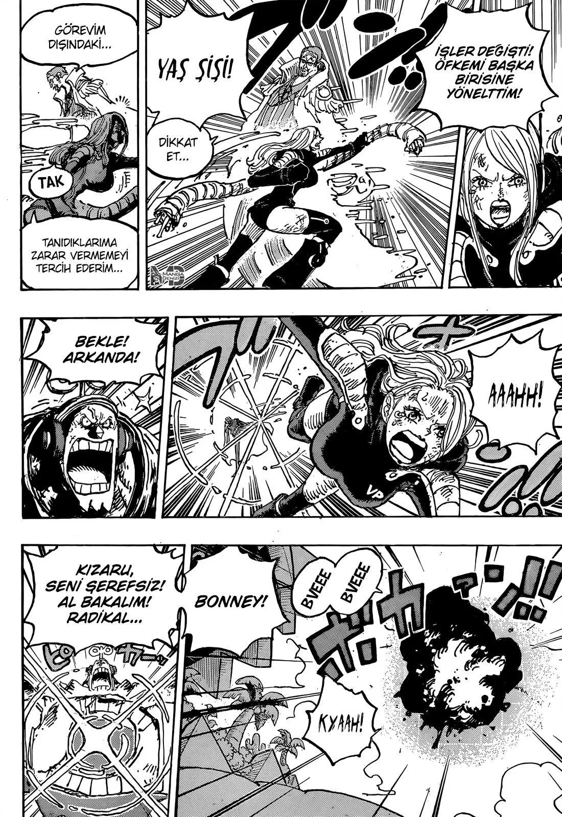 One Piece - Sayfa 15