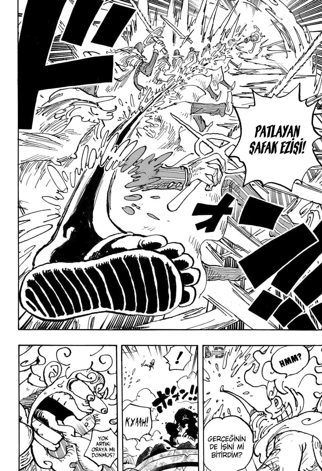 One Piece - Sayfa 13