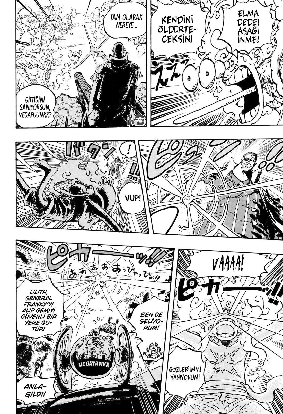 One Piece - Sayfa 15