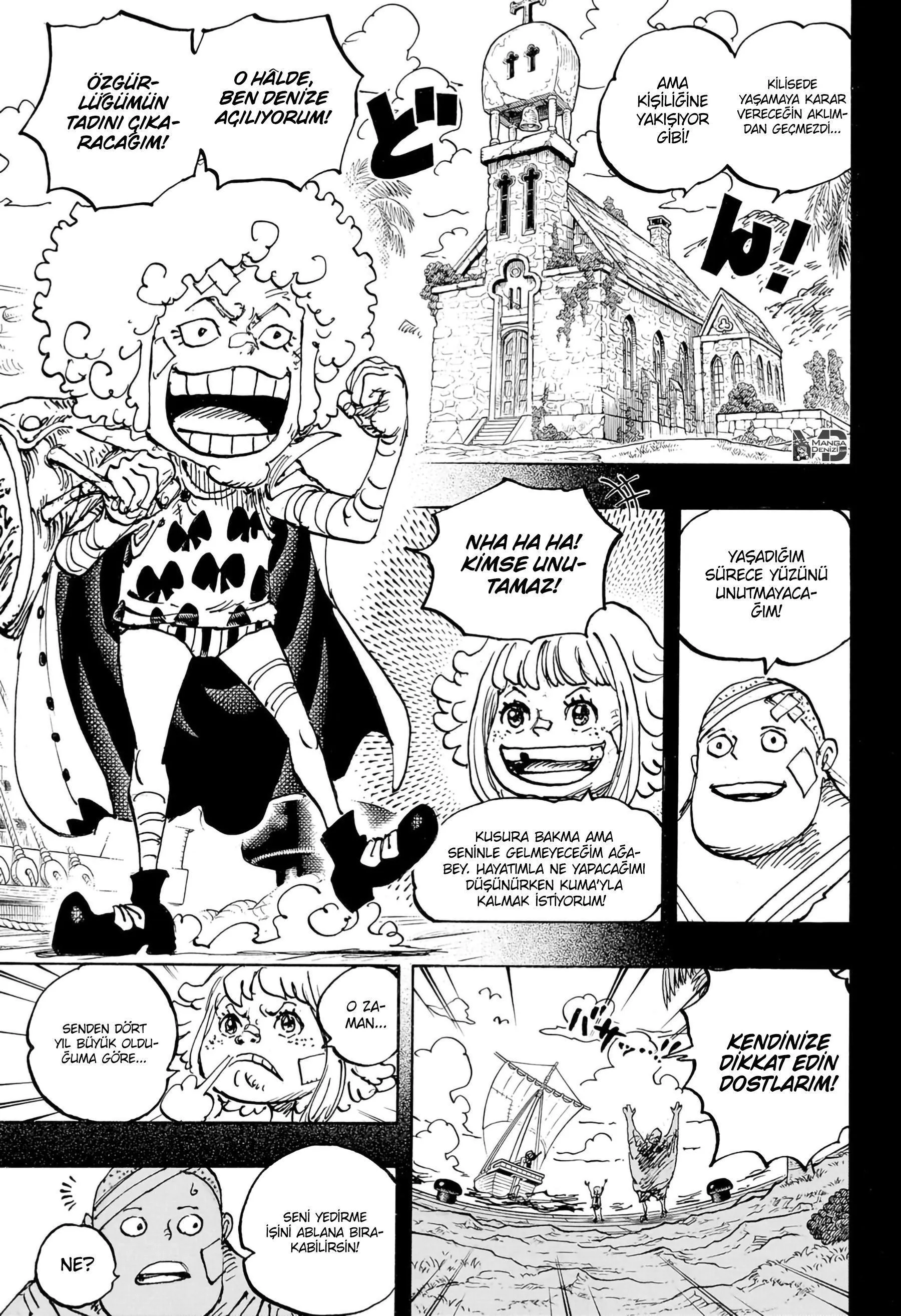 One Piece - Sayfa 13