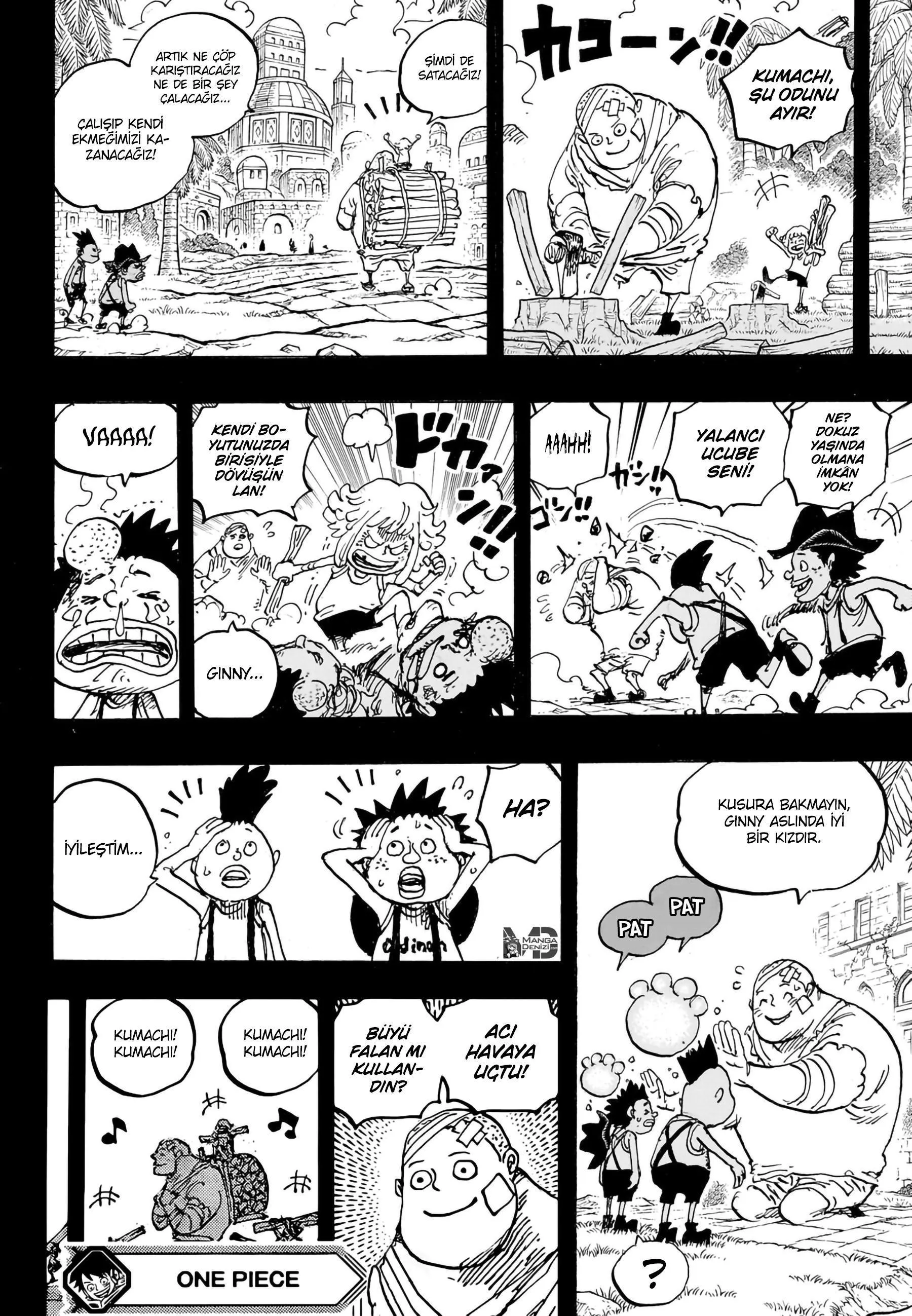One Piece - Sayfa 14