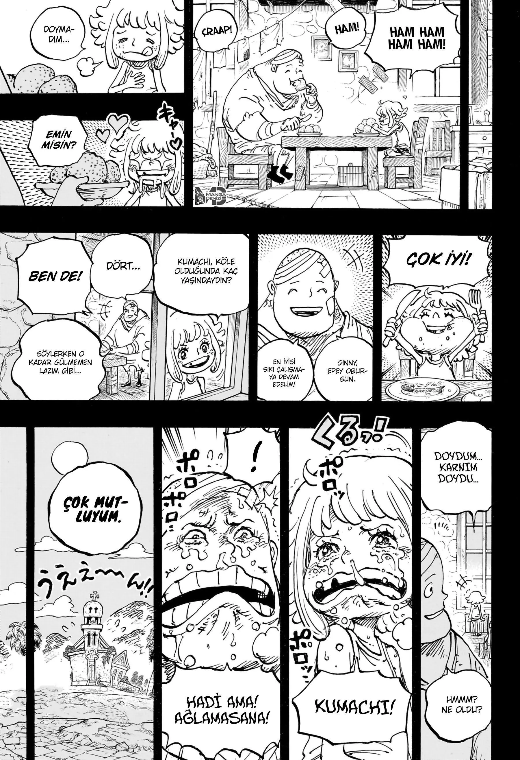 One Piece - Sayfa 15