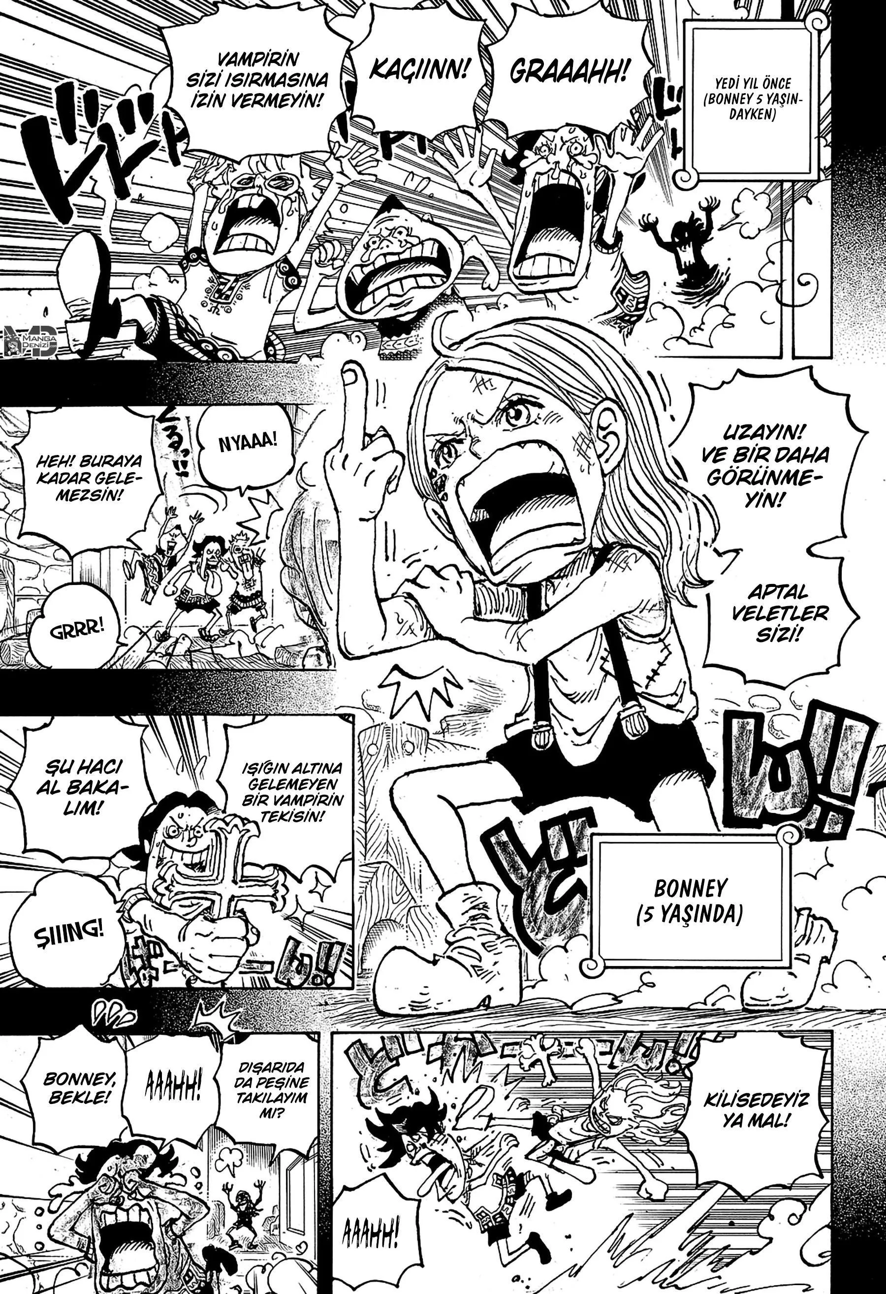 One Piece - Sayfa 12