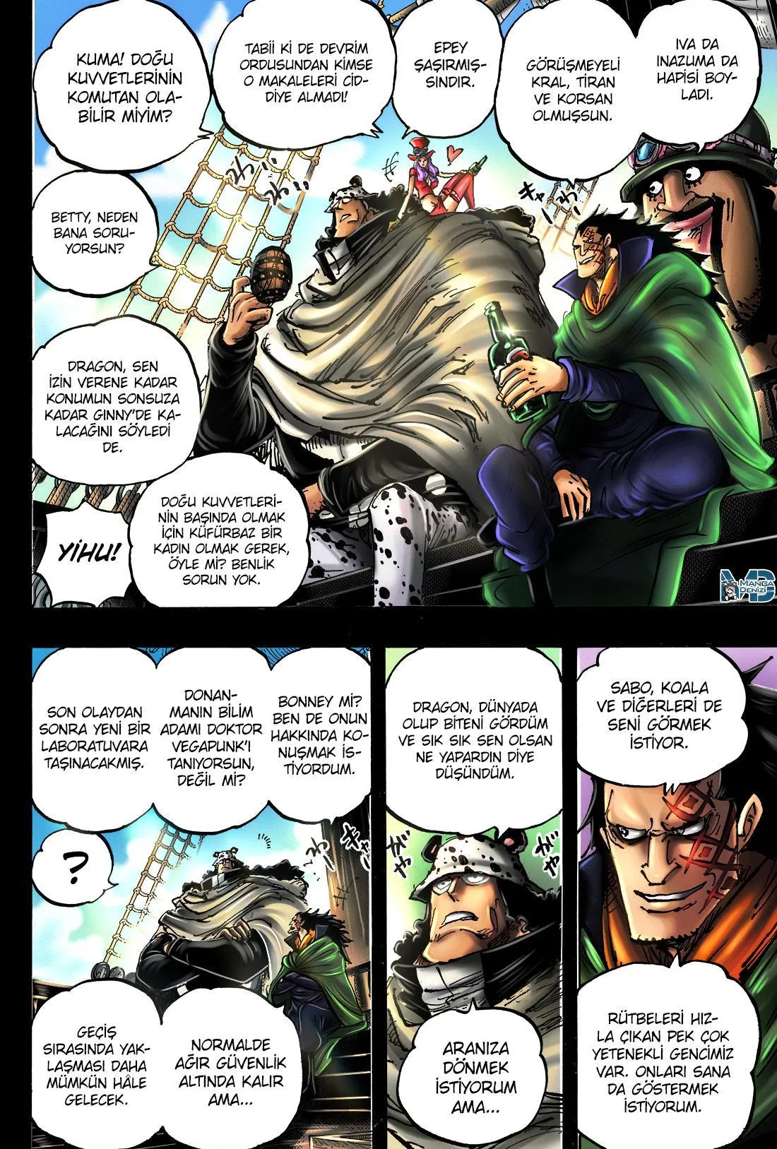 One Piece - Sayfa 12