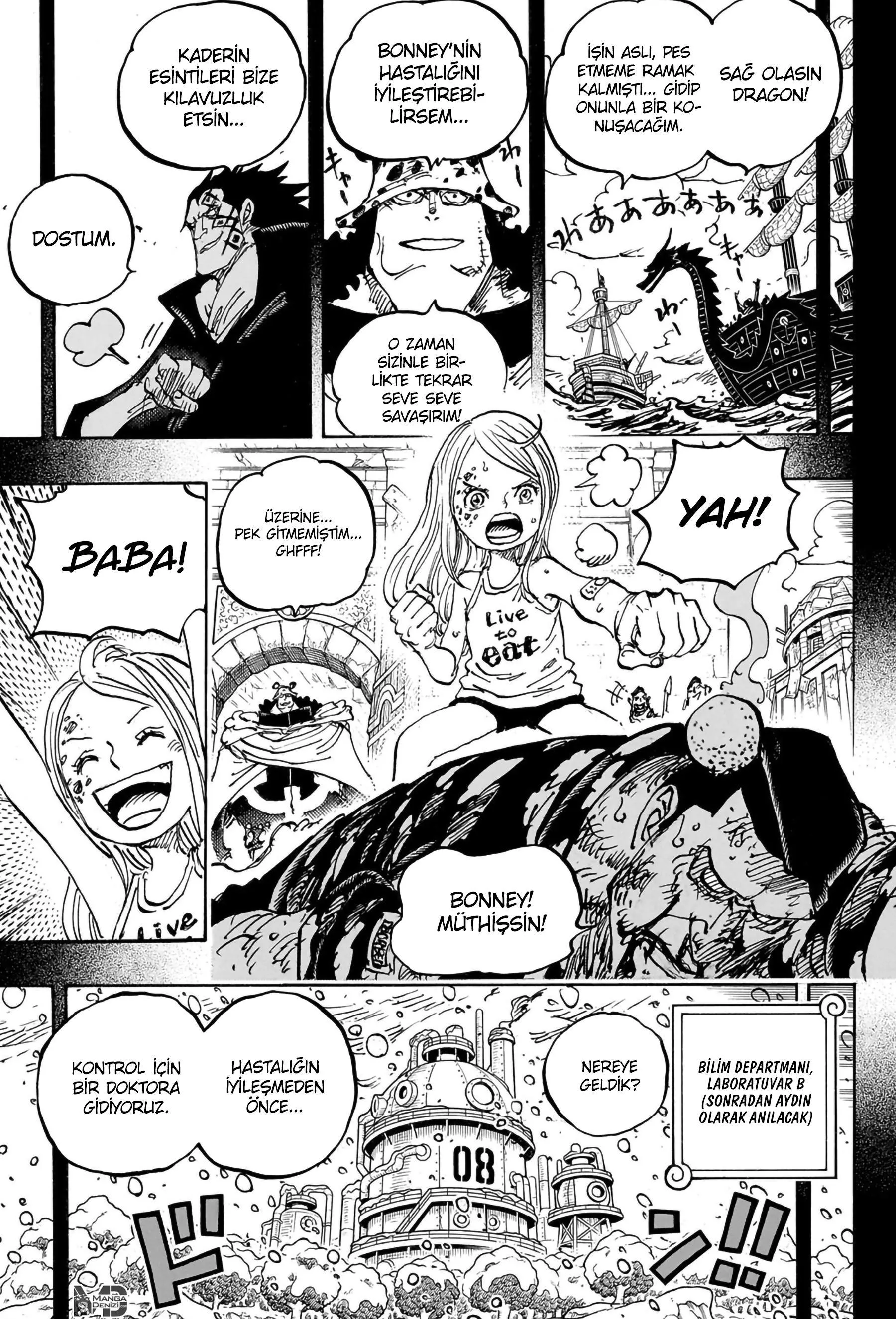 One Piece - Sayfa 13