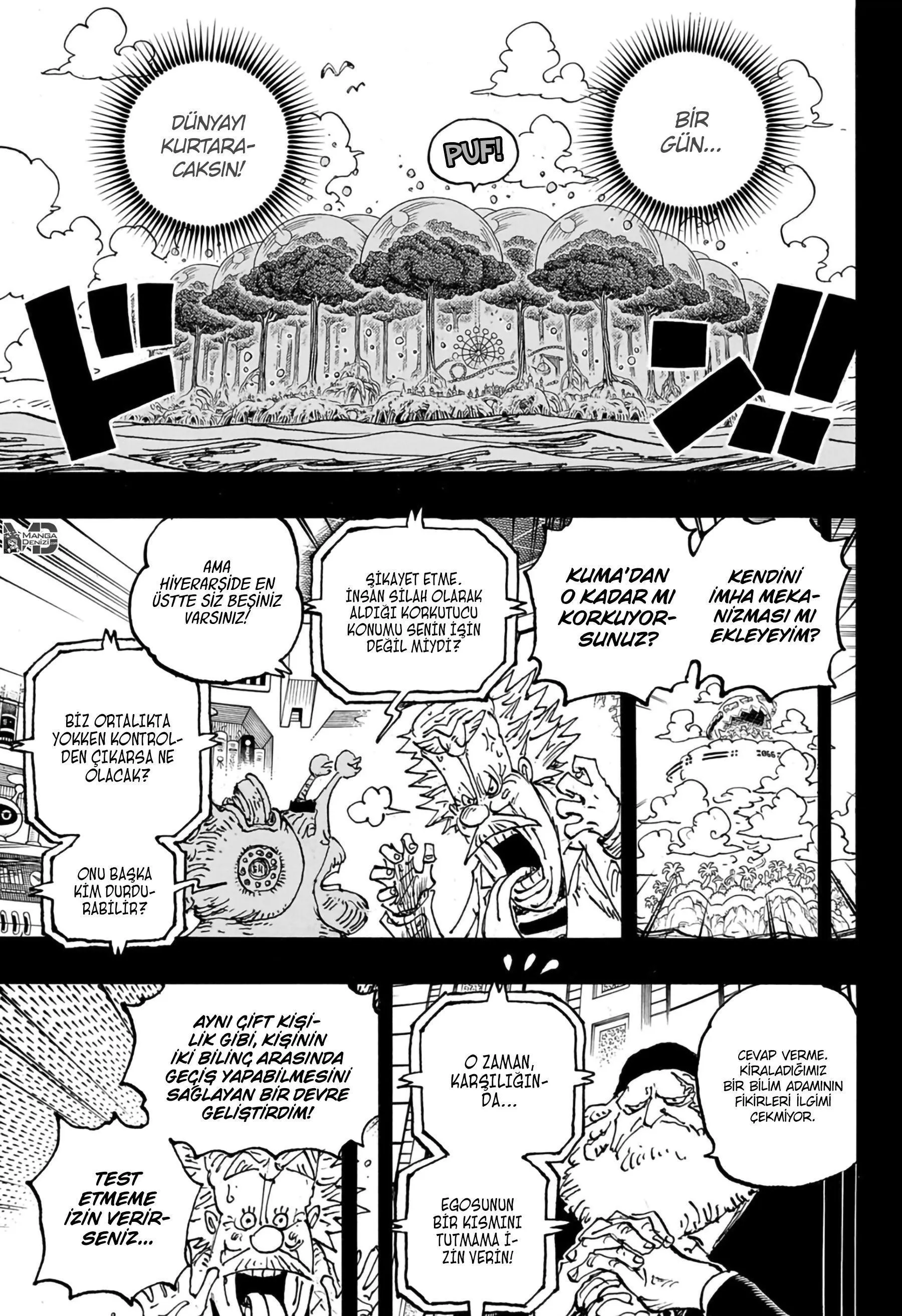 One Piece - Sayfa 12