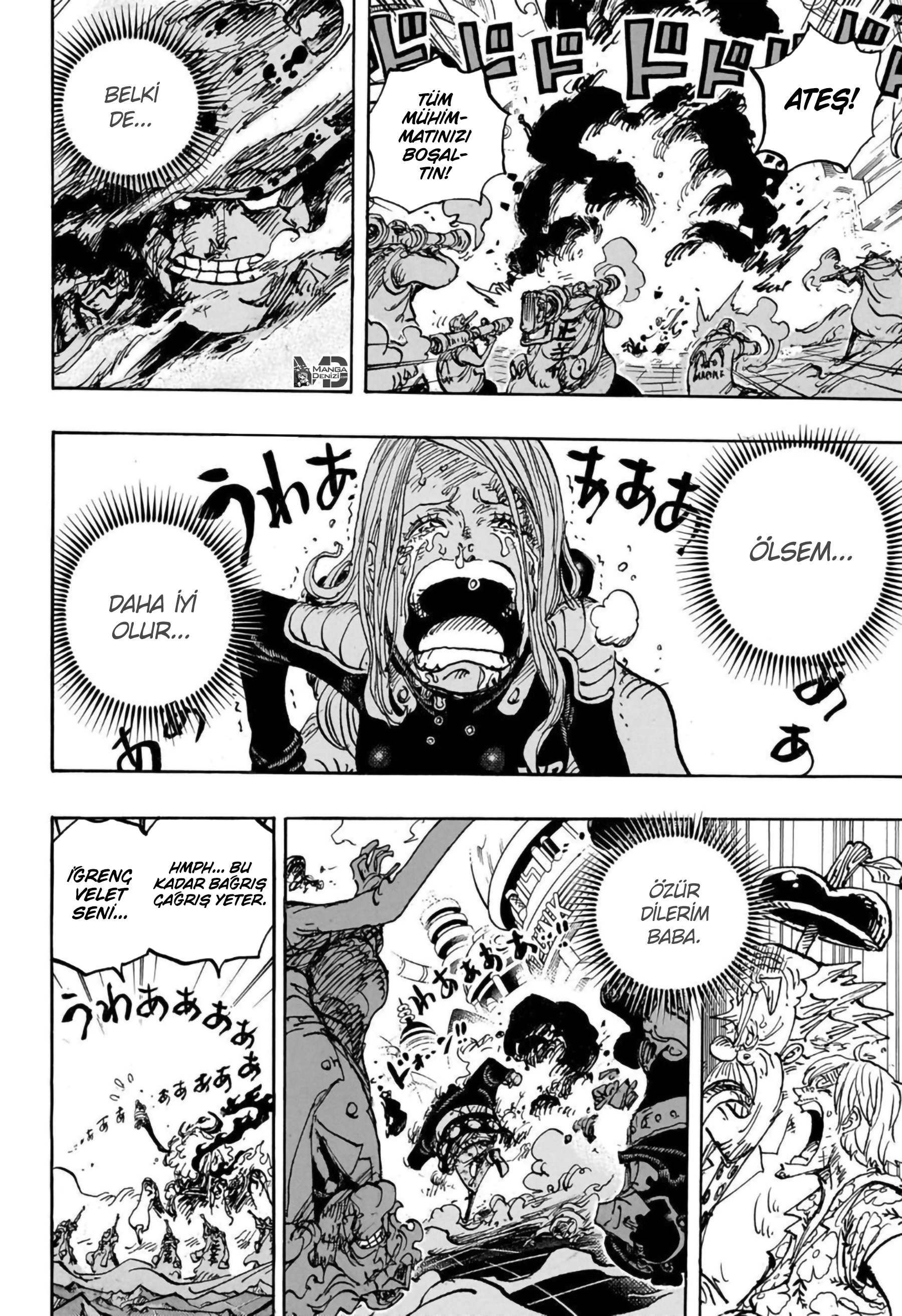 One Piece mangasının 1103 bölümünün 13. sayfasını okuyorsunuz.