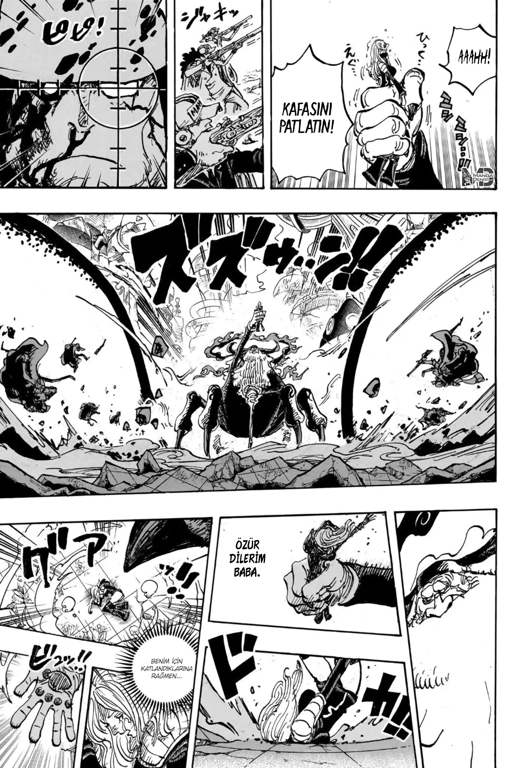 One Piece - Sayfa 14