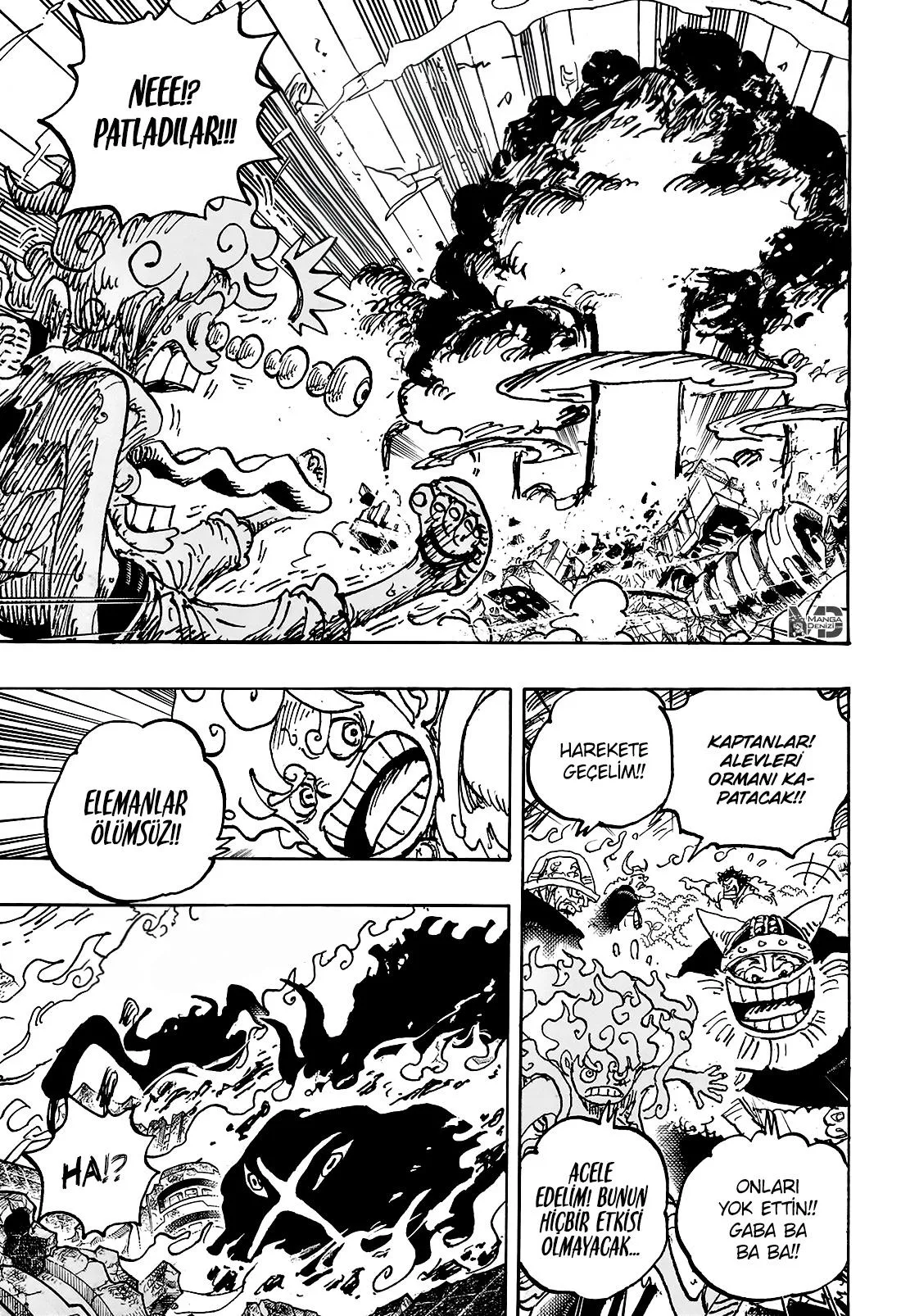 One Piece - Sayfa 15