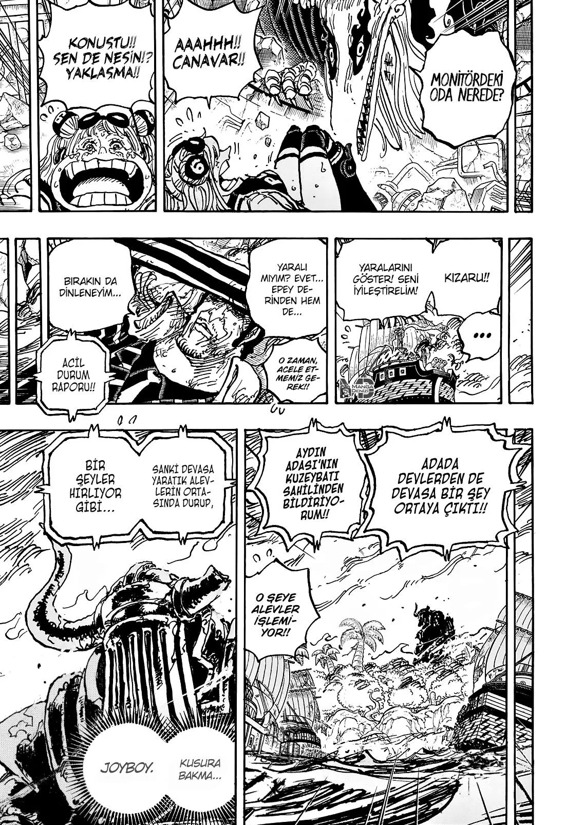 One Piece - Sayfa 17