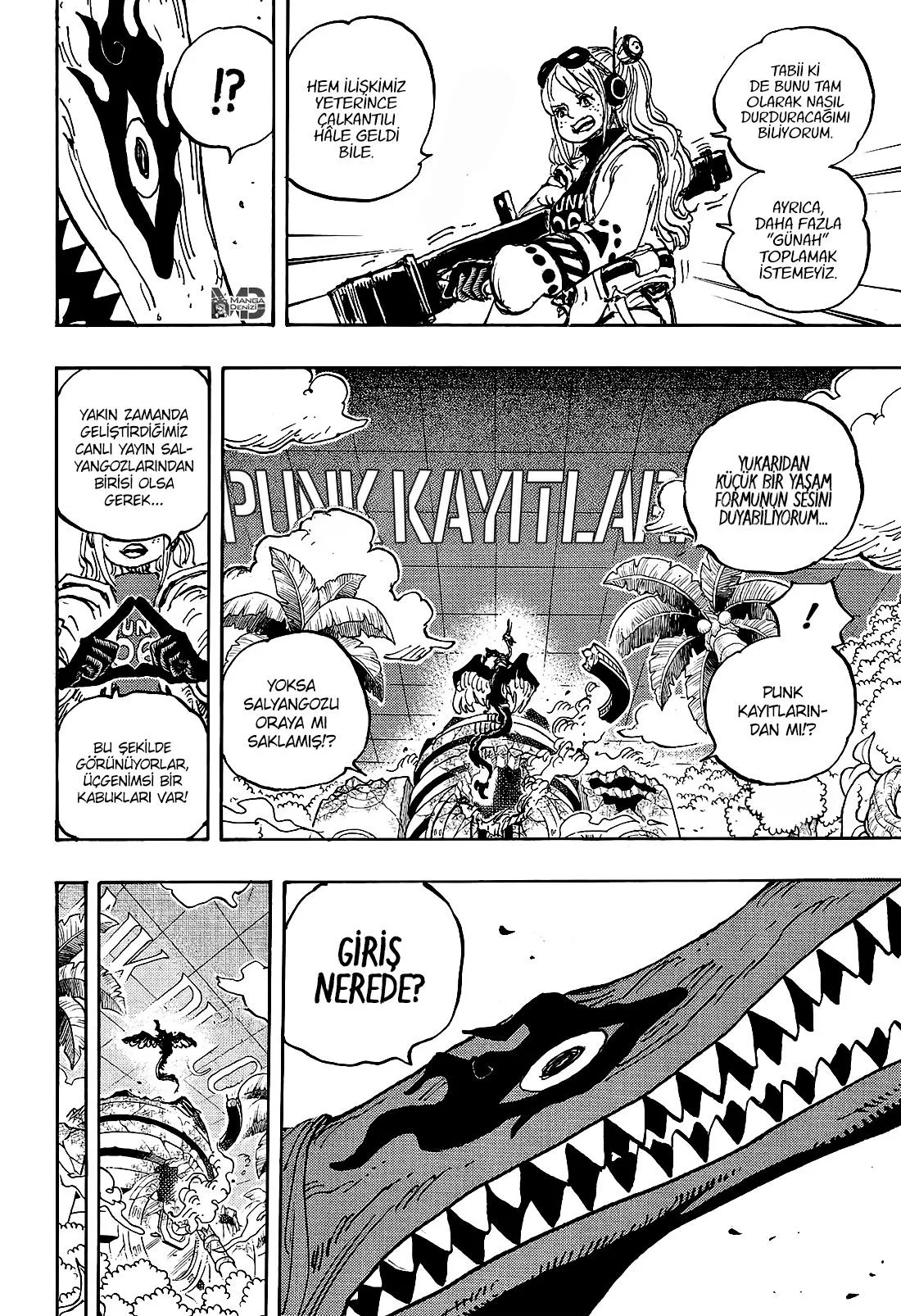 One Piece - Sayfa 8