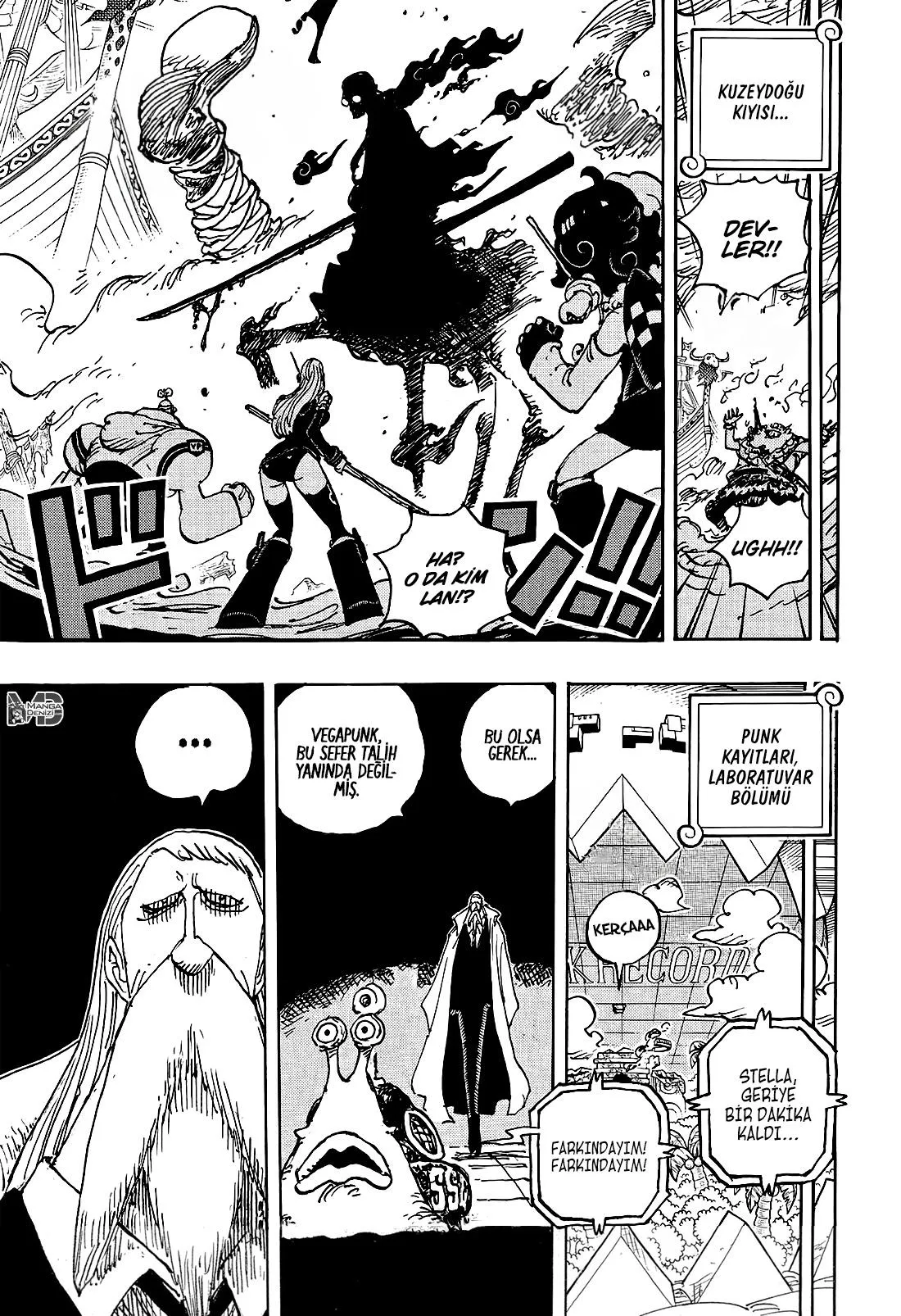 One Piece - Sayfa 15