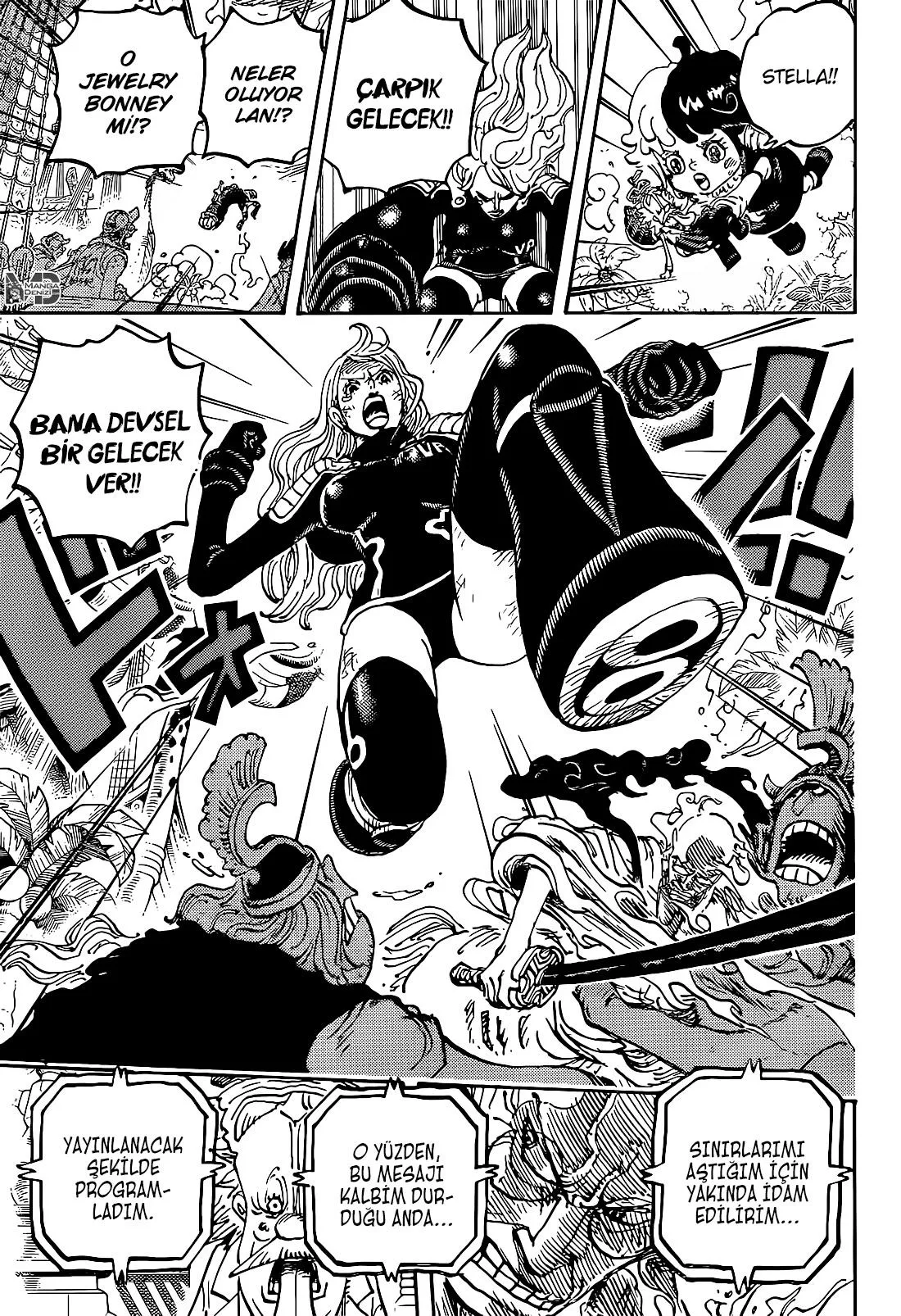 One Piece - Sayfa 12