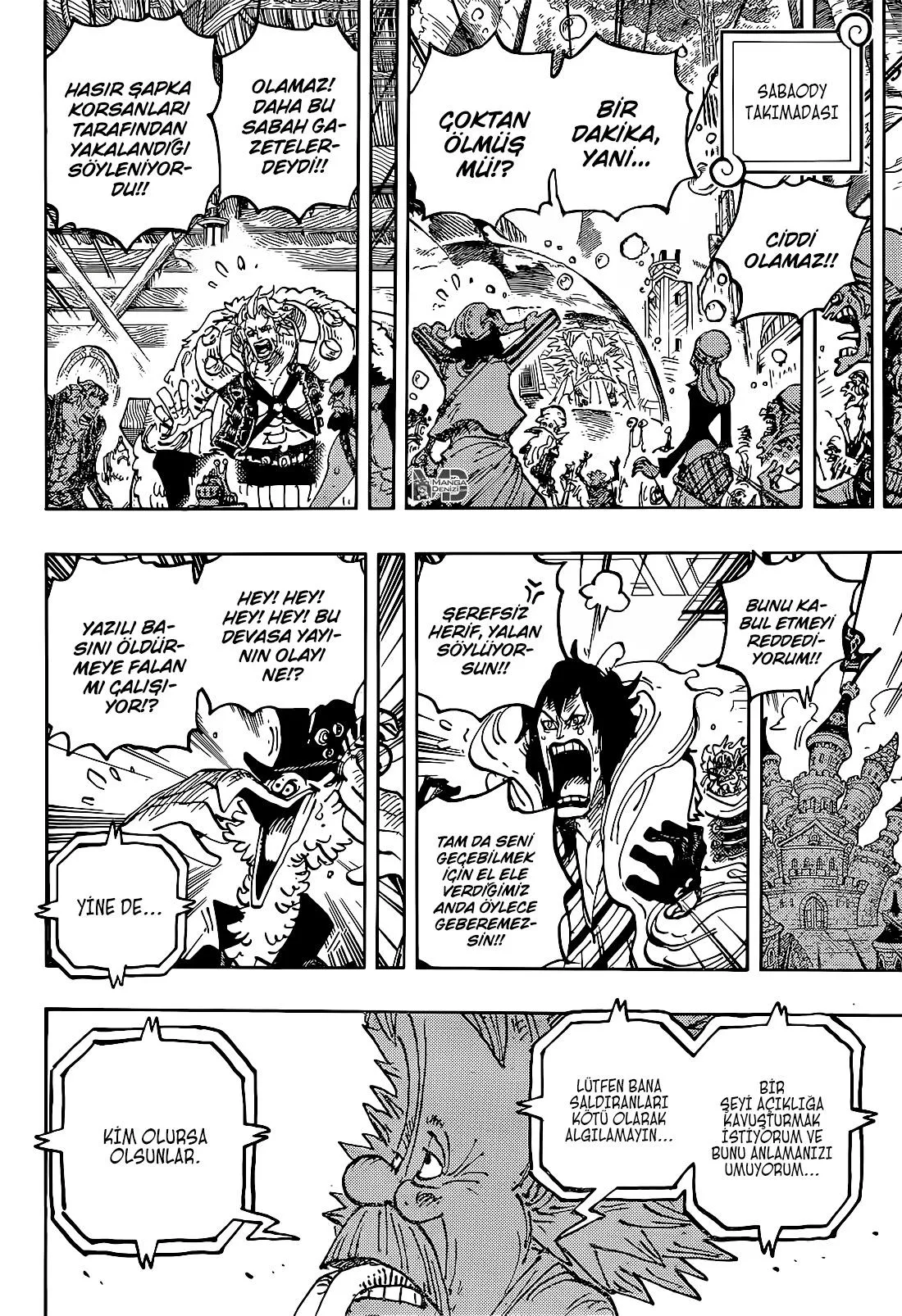 One Piece - Sayfa 13