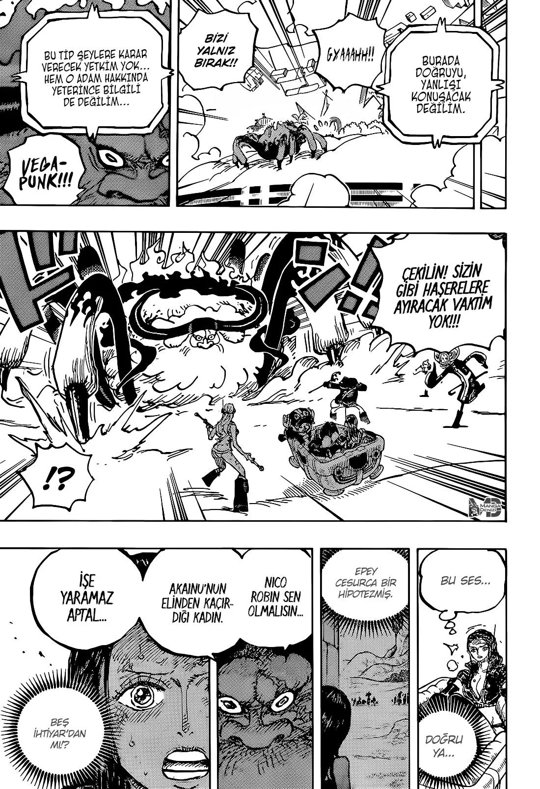 One Piece - Sayfa 14