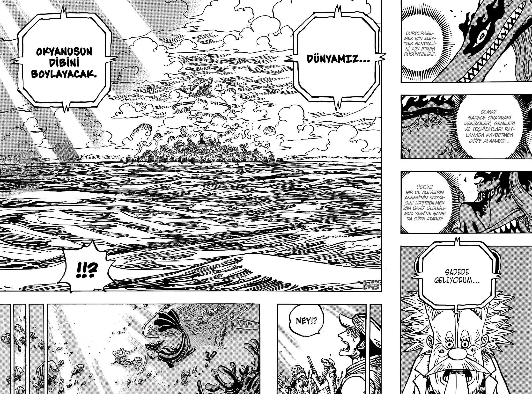 One Piece - Sayfa 16