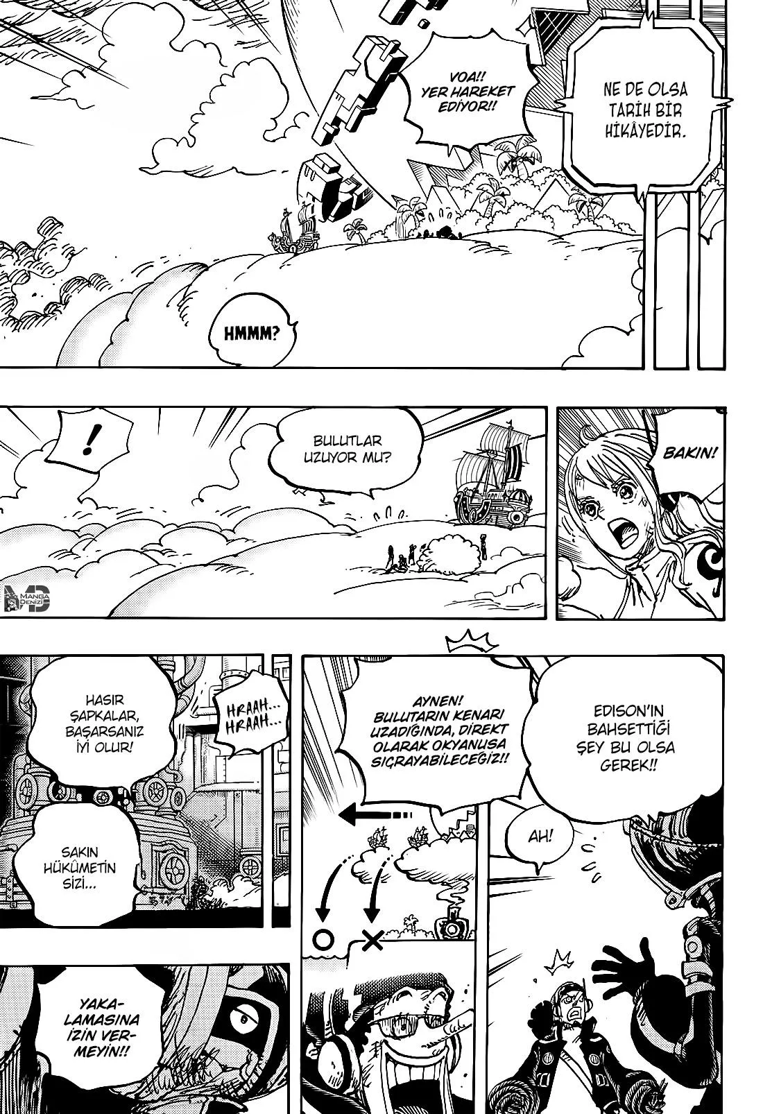 One Piece - Sayfa 13