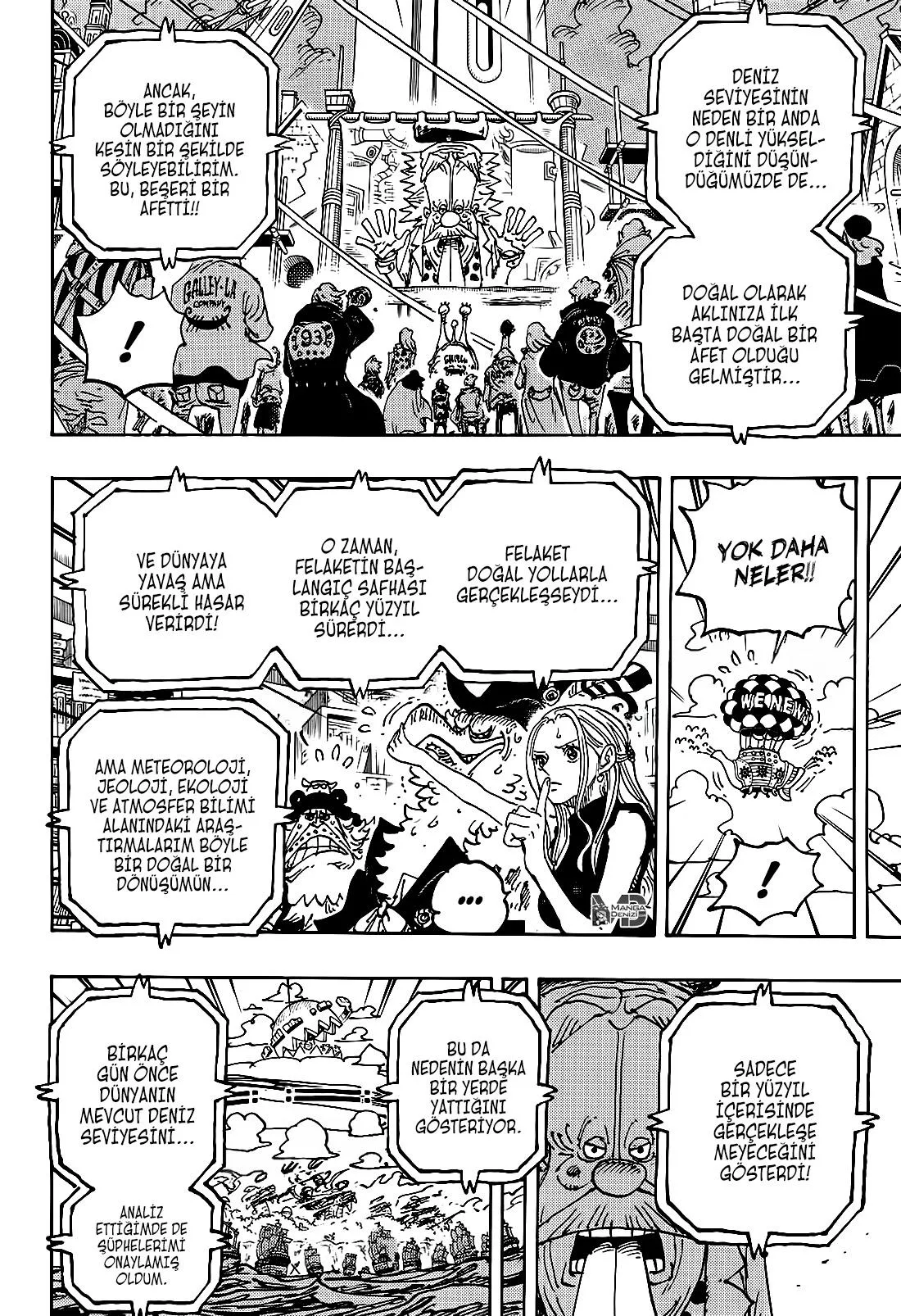 One Piece - Sayfa 15